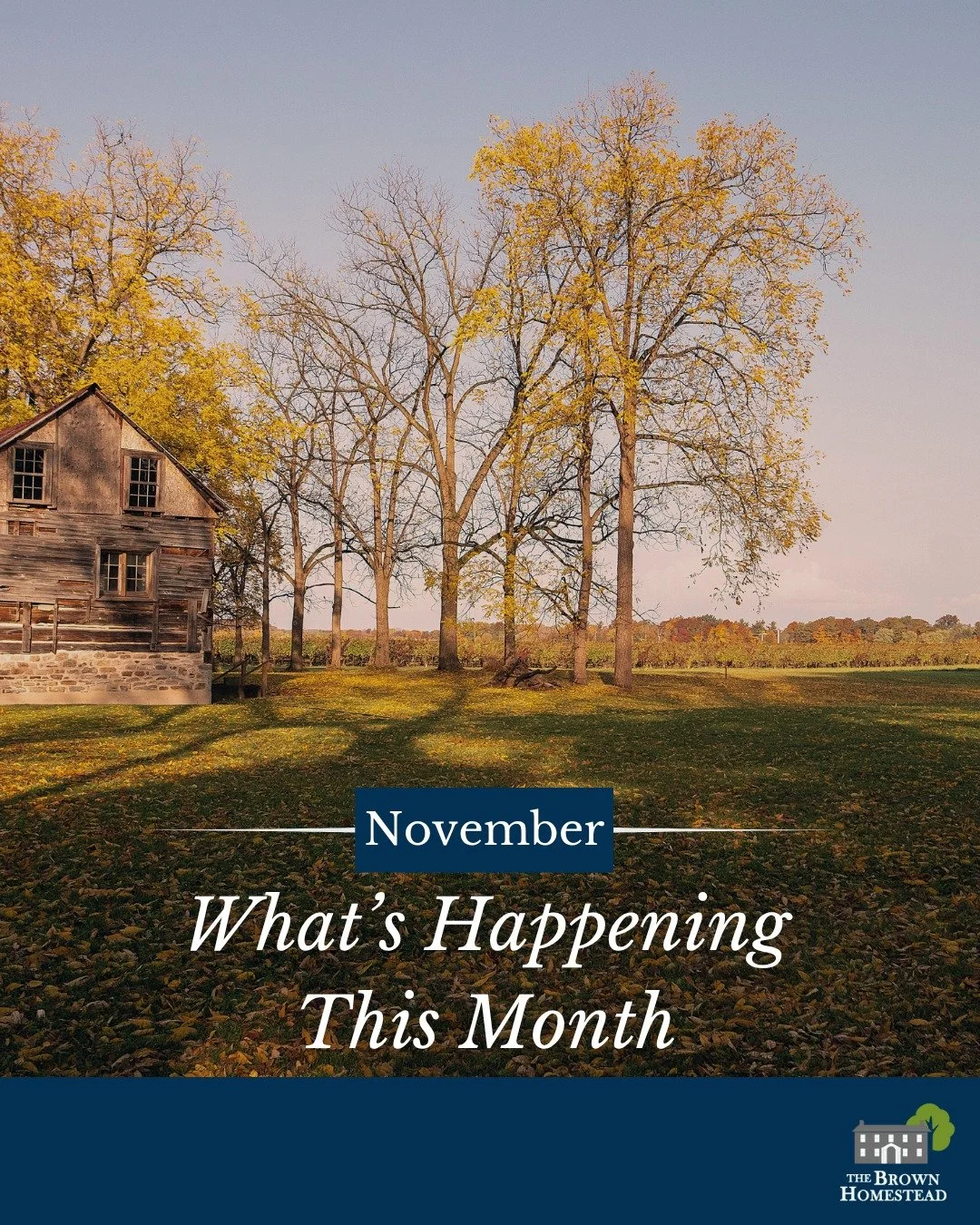 What's November bringing to the Homestead?

🗺️Dig deep into the history of your property with our Intermediate Land Registry Workshop 
🌄Discover the secrets hidden in the Short Hills
🗣️Visit our website our email us now to book your tour or outrea