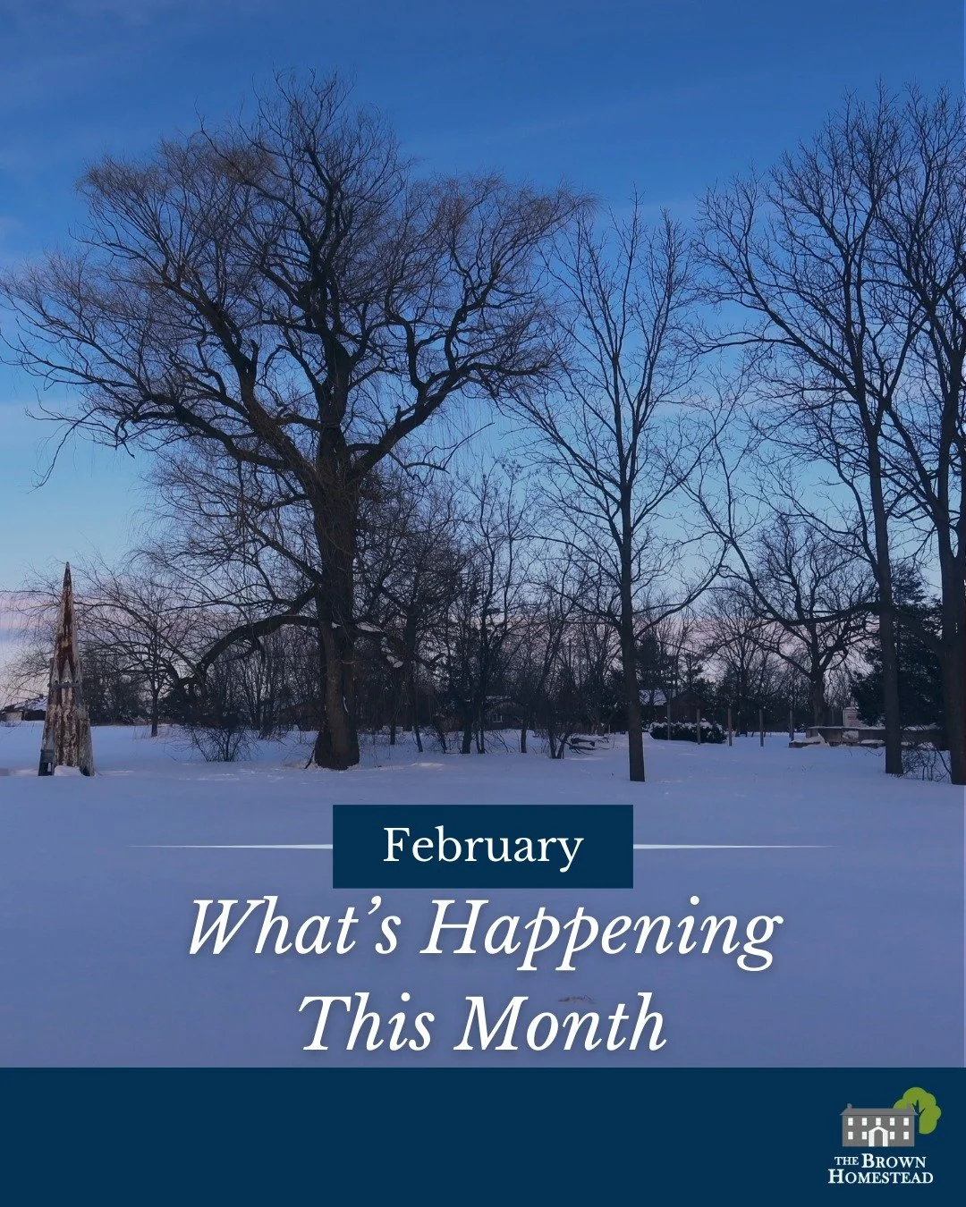 What's Happening at the Homestead this February?

🎙️Dive into 'Heritage Conservation Abroad' with Theresa and Jess in The Open Door Podcast S5E2 as they discuss their overseas learning experiences with Messors and The Kings Foundation

📸 Don't forg