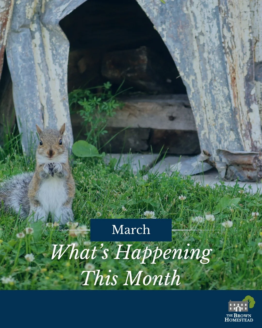 What's Happening In March?

Find us at Culture Crawl March 8 at the Pelham Meridian Community Centre with @niagarageopark and 25+ museum and culture groups 👀
Dive into land registry research with Municipal Archives Interest Group members online 🗺️
