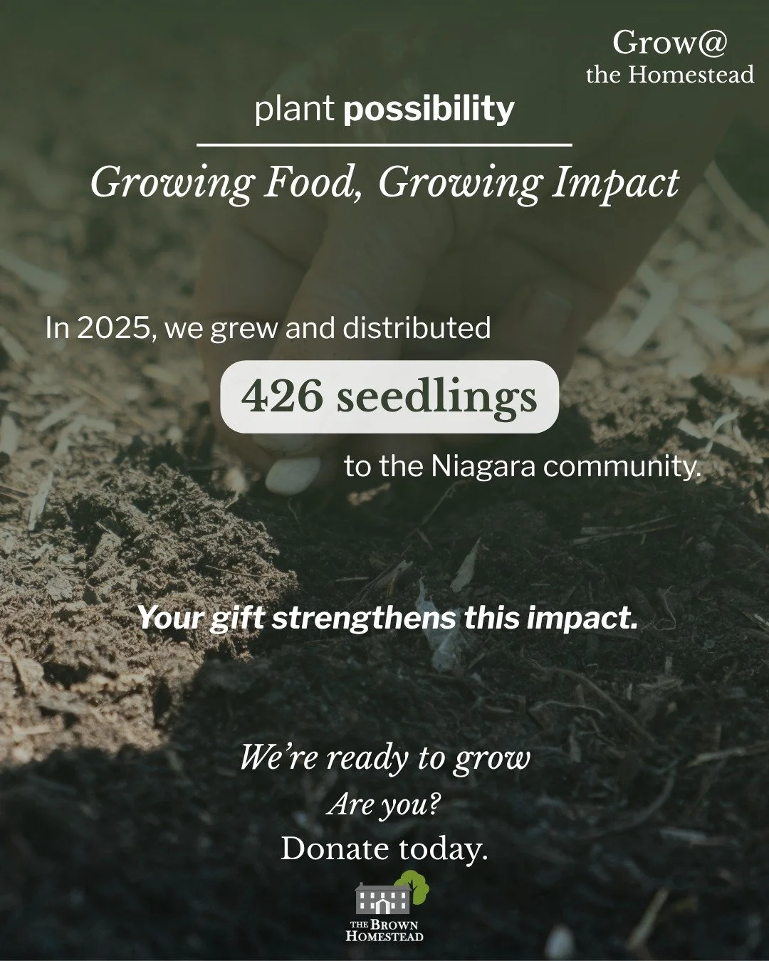🌱 Plant Possibility with Grow@ the Homestead

Our Grow@ the Homestead program connects people to; 
⛰️The land, 
🥬Their food, 
🤝and each other. 

Helping families:
🌾Grow their own fresh, nourishing produce 
🍅Preserve genetic diversity in our food