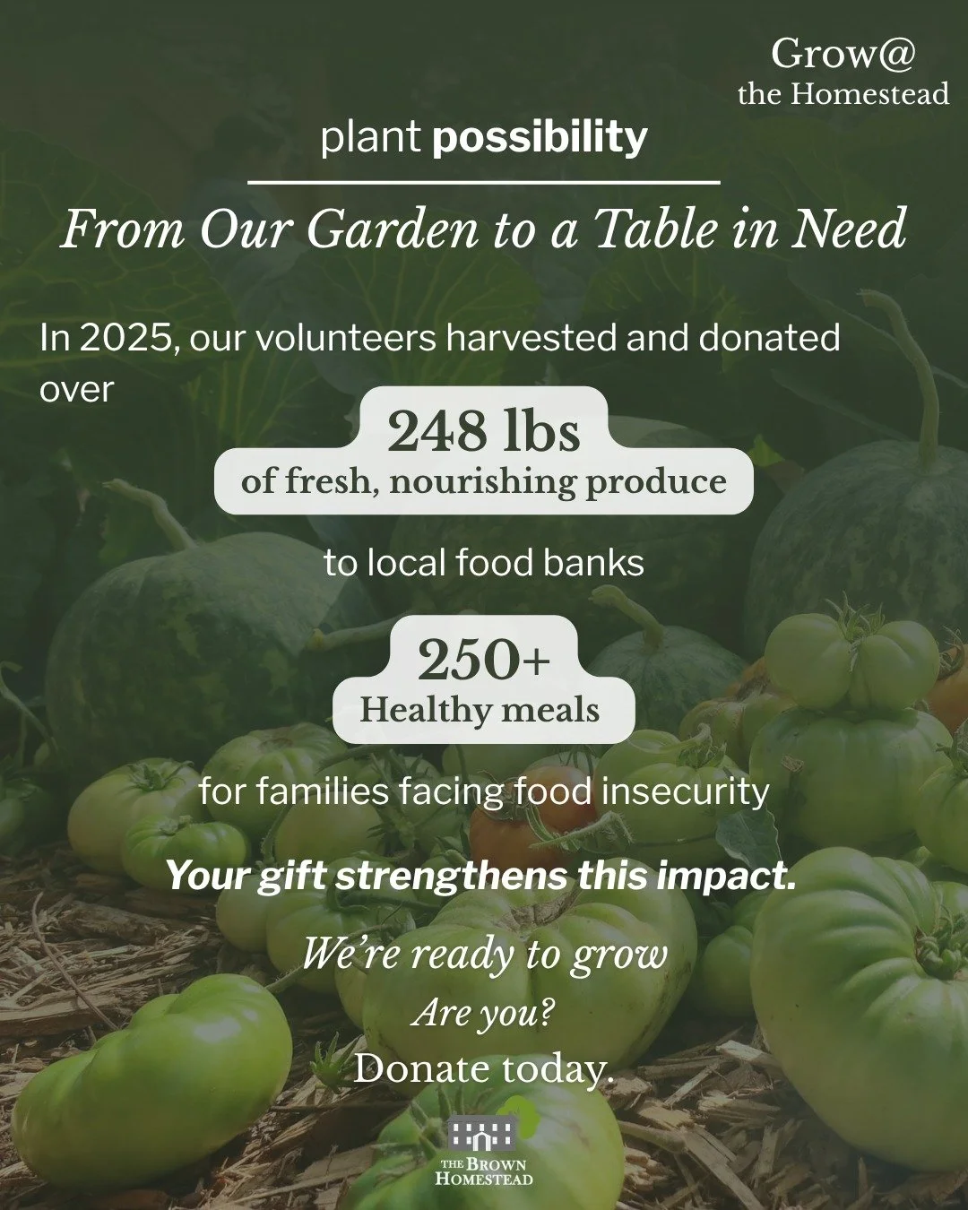 🍅 From Our Garden to a Table in Need🍽️

In 2025 our volunteers dedicated over 150 hours to our Victory Garden, producing and donating over 112 kg (248) of fresh food to local food banks in St. Catharines!

Your donation helps us grow🌾, harvest🍅, 