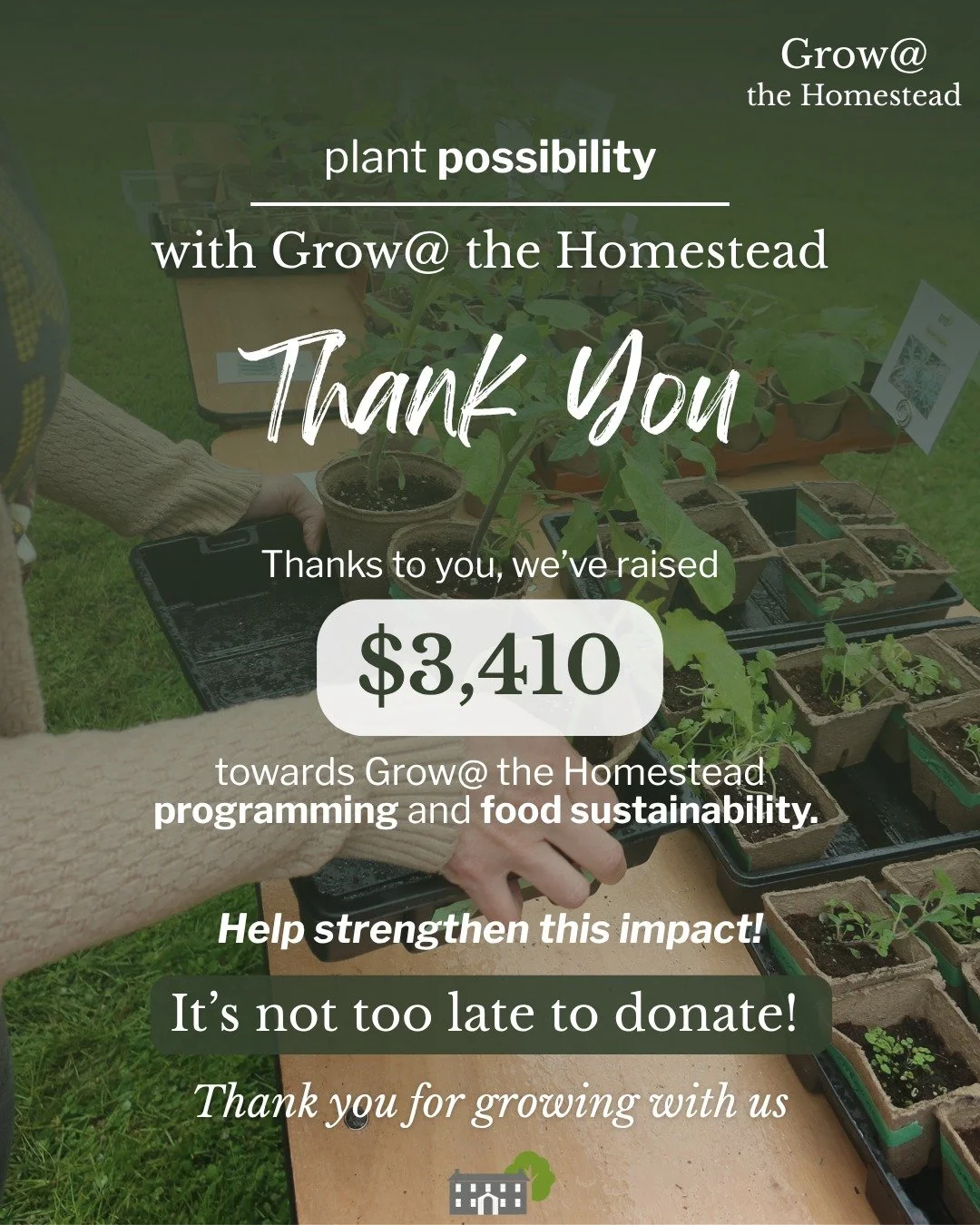 This year The Brown Homestead gave over 400 seedlings away!🌱 

We raised $3,410 towards our Grow@ The Homestead program, increasing accessibility, sustainability and the long term feasibility of our free community programming.

Thank you for plantin