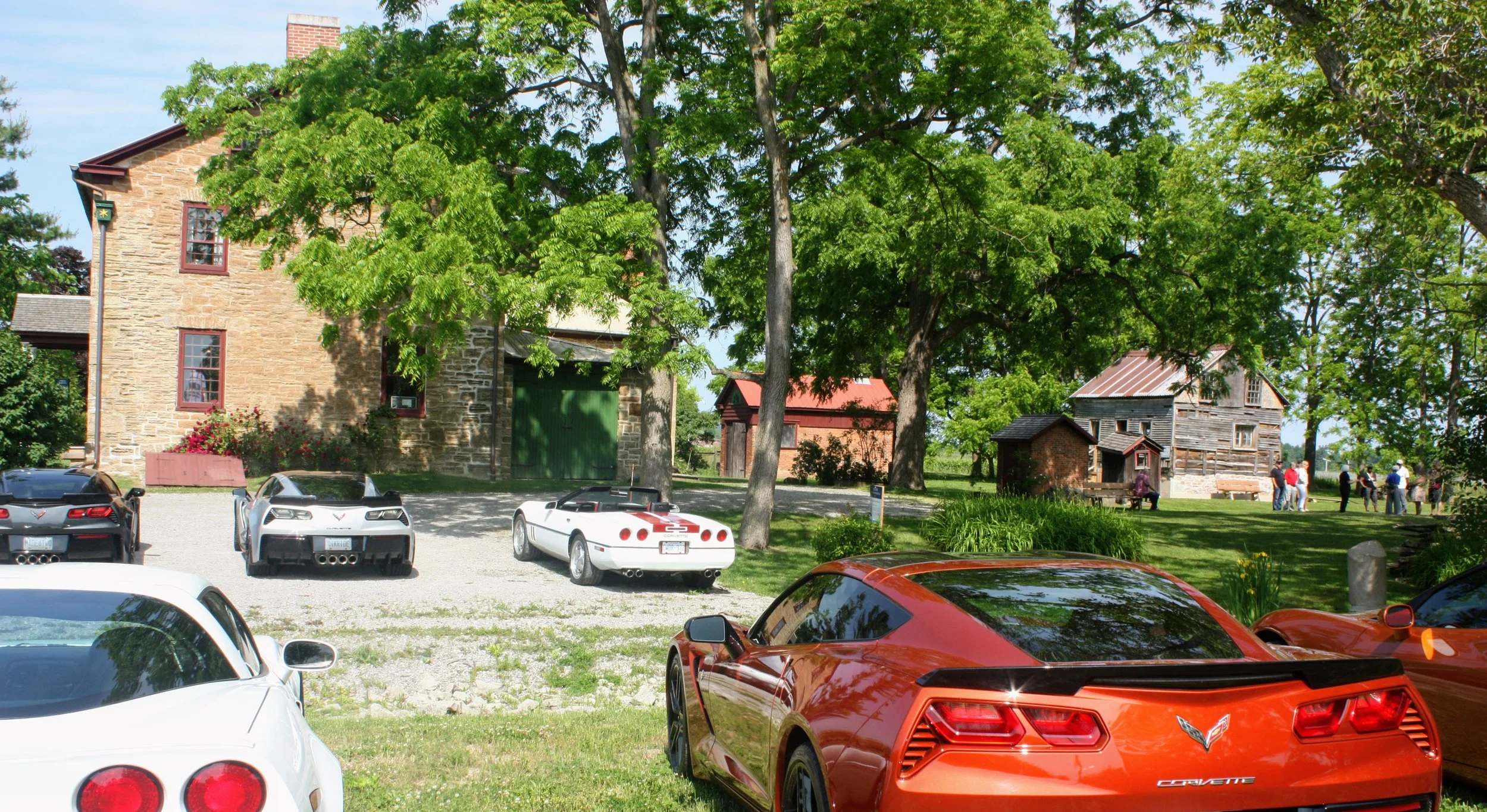Two rows of corvettes line the parking lot of The Brown Homestead, with the historic buildings of the property in the background.