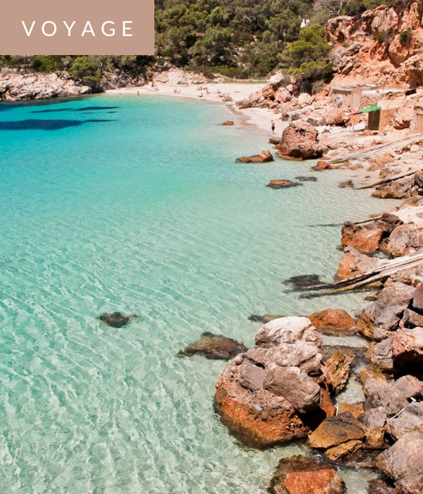 Coup de coeur pour «  Le Petit Ibiza »