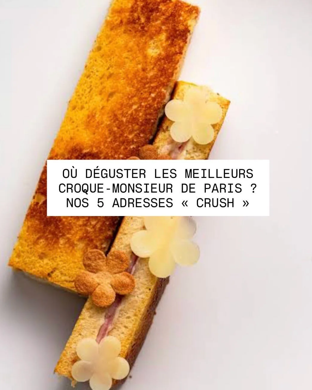 Du pain dor&eacute;, du fromage fondant et du jambon de qualit&eacute; : le croque-monsieur fait partie de ces grands classiques dont on ne se lasse jamais 😋

&Agrave; Paris, il se d&eacute;cline aussi bien dans les salons de th&eacute; historiques 