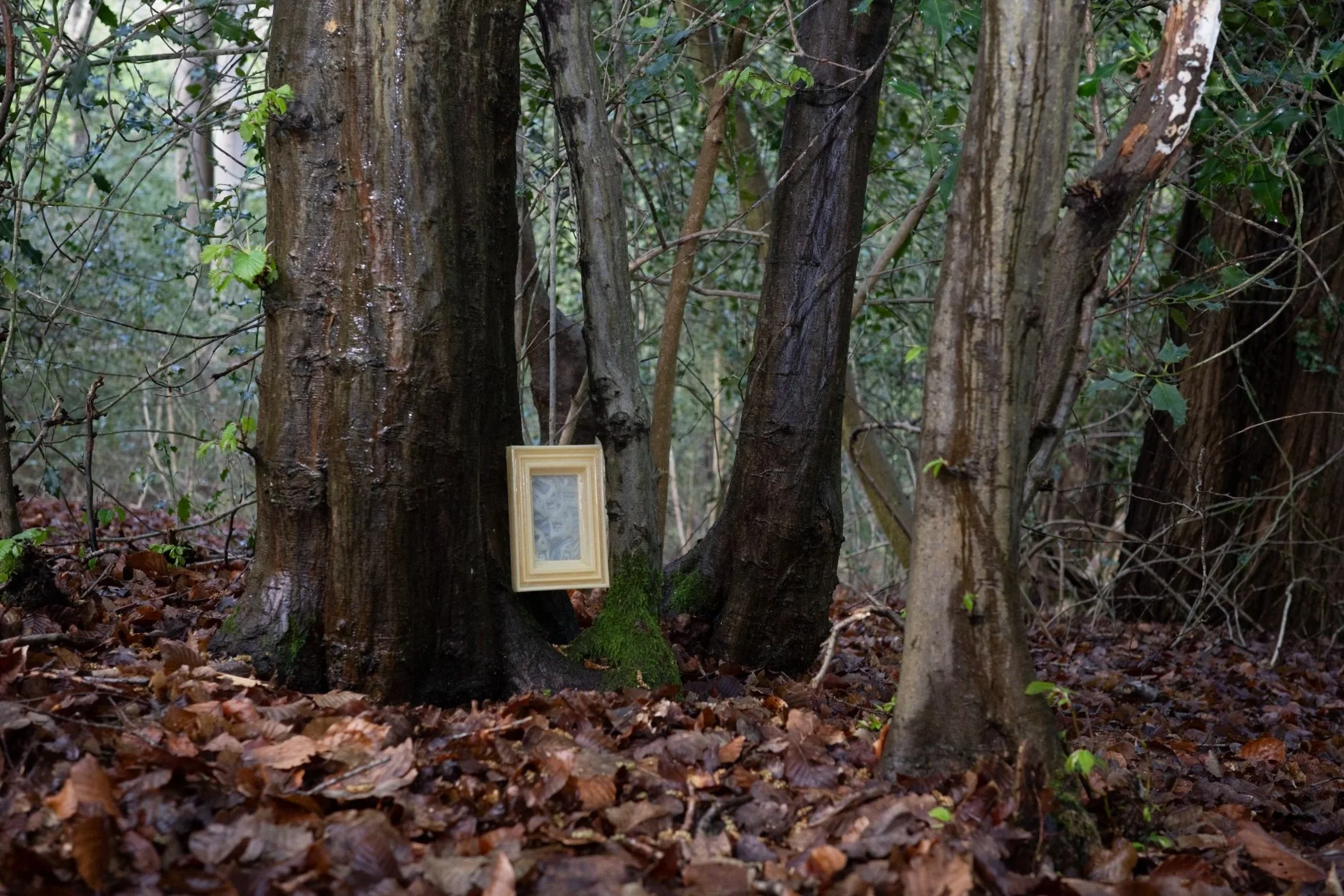 Narrow Village (2025)