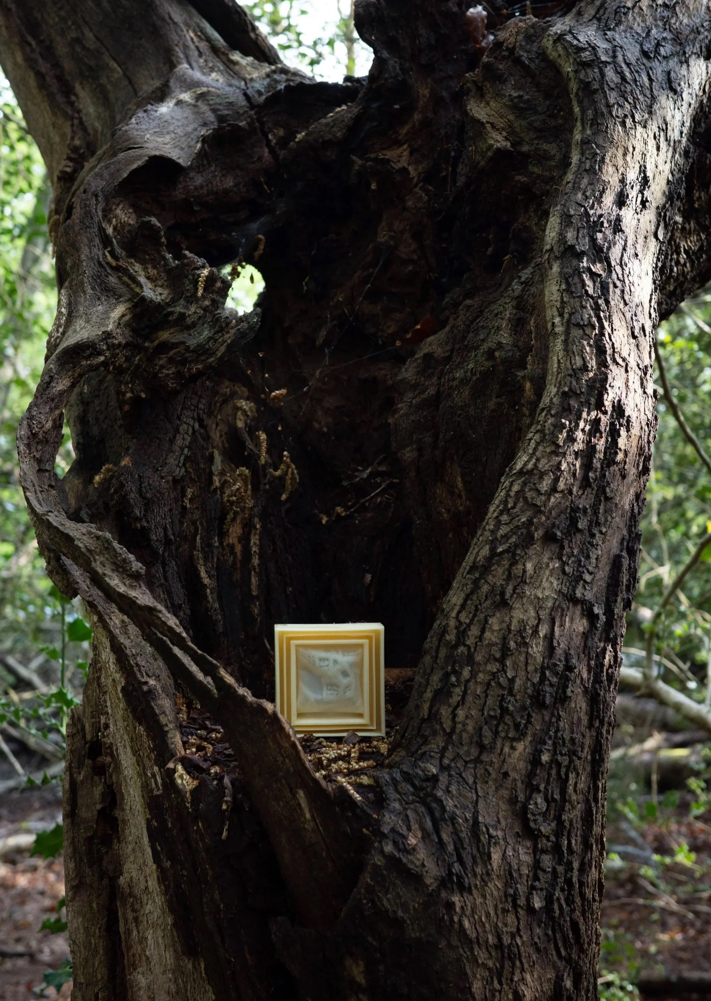 Chunky Village (2025)