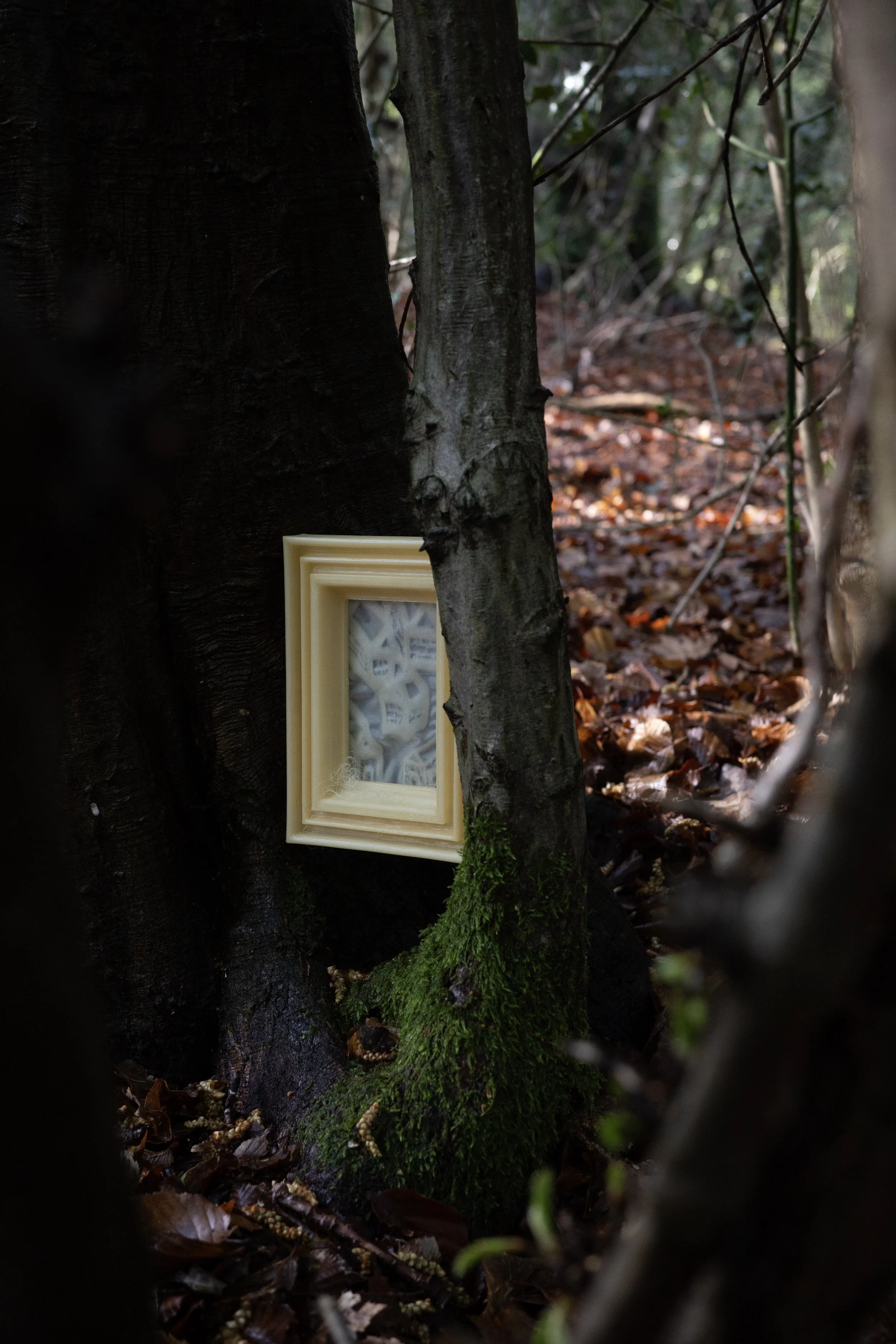 Narrow Village (2025)