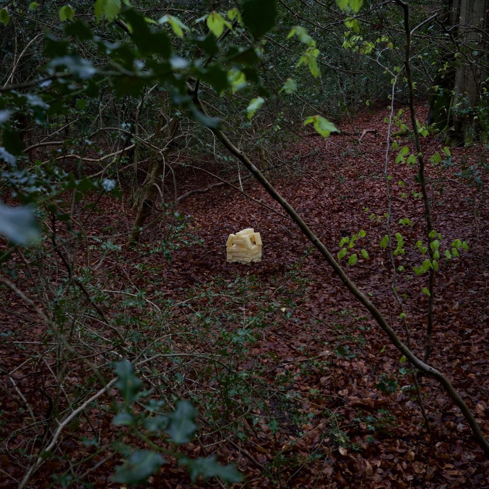 People and House (2025)