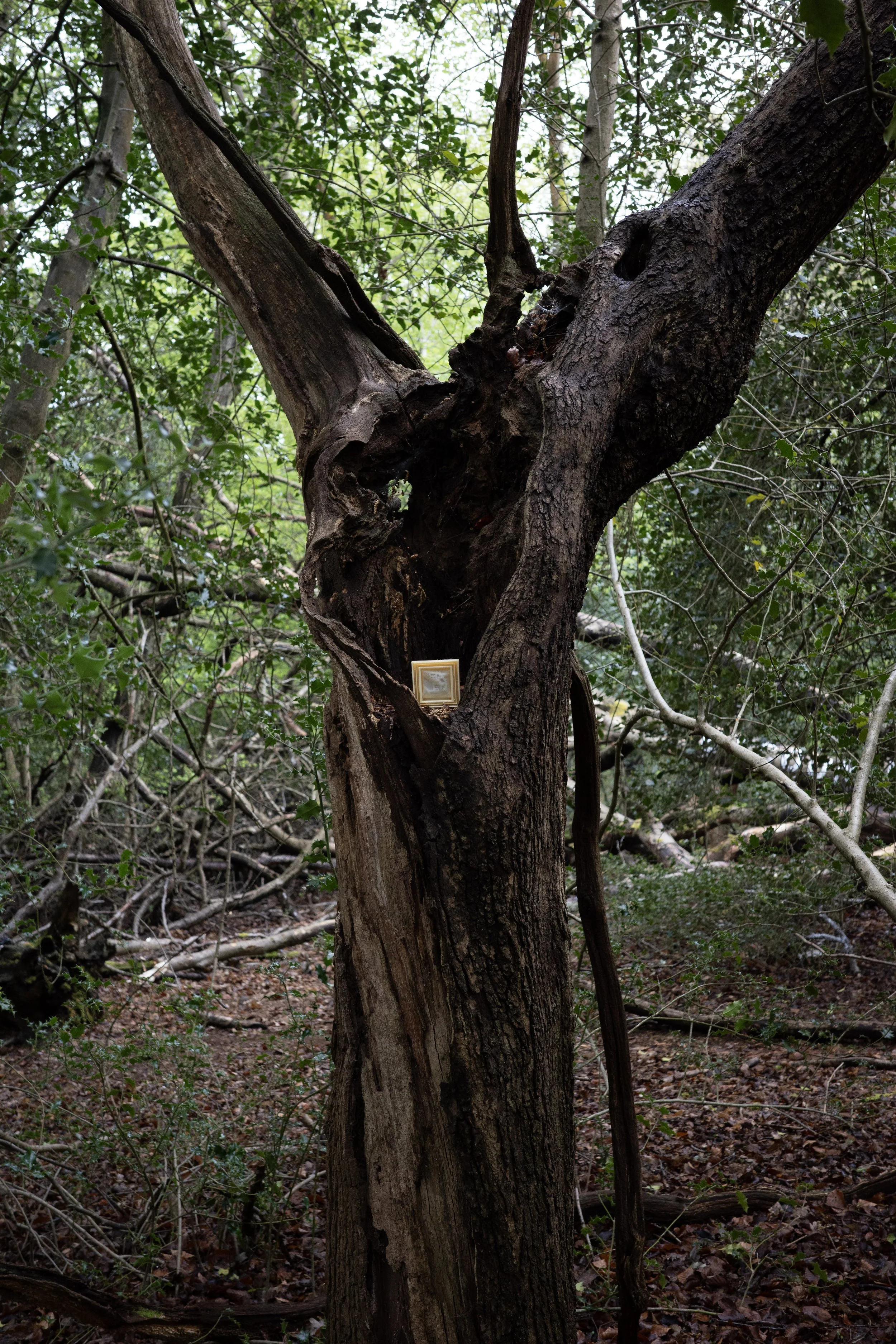 Chunky Village (2025)