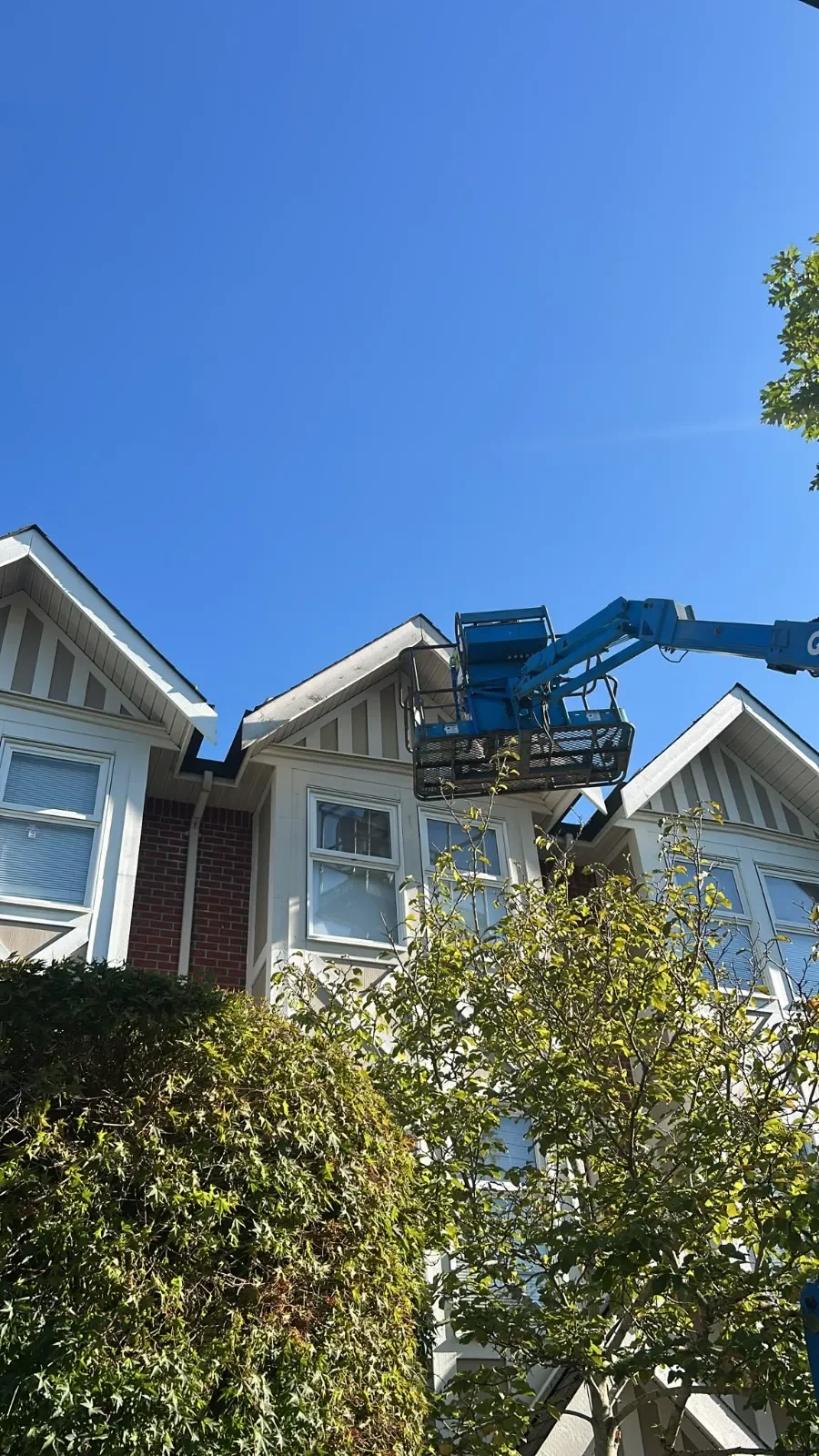 Strata Painters_Top Rated Painting company_Soul Painters.webp