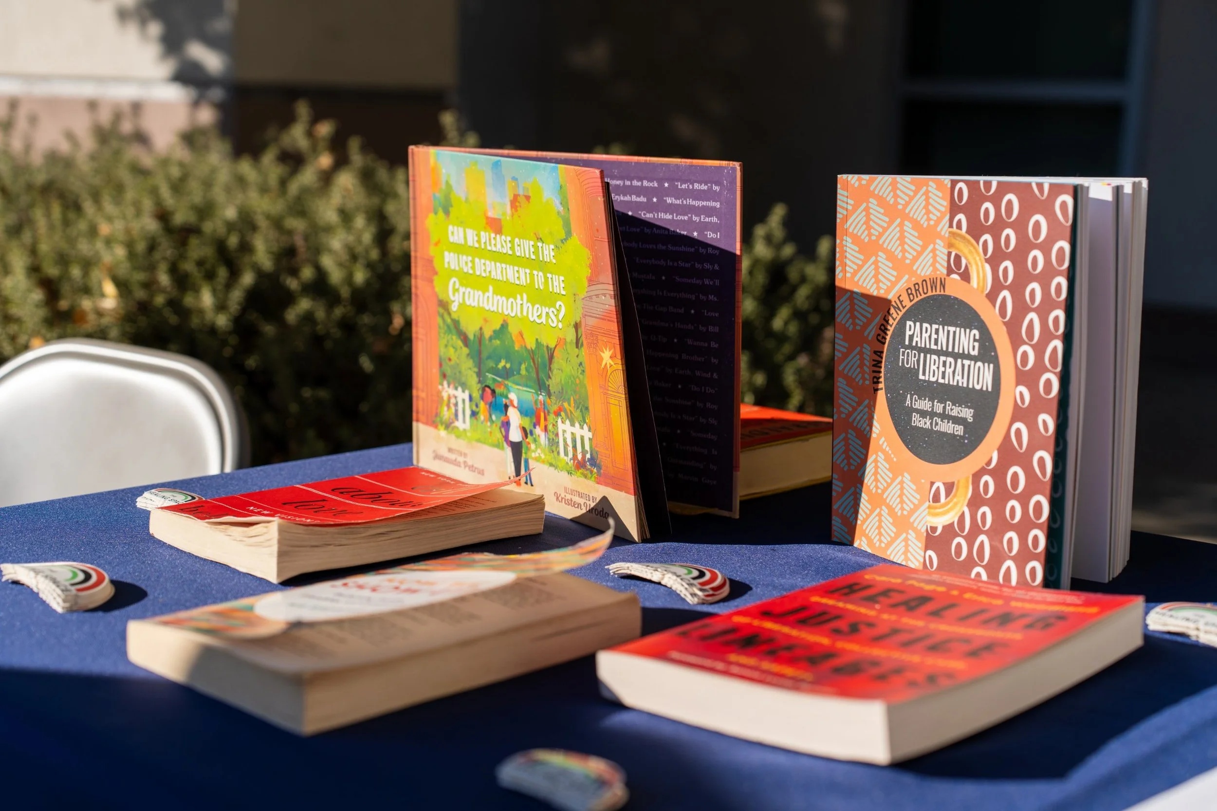 Books on a Healing Space table in the sun, including Parenting for Liberation by Trina Greene Brown, Can We Please Give the Police Department to the Grandmothers? by Junauda Petrus and Healing Justice Lineages