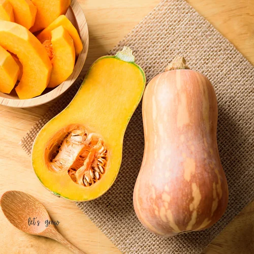 Butternut whole.jpg