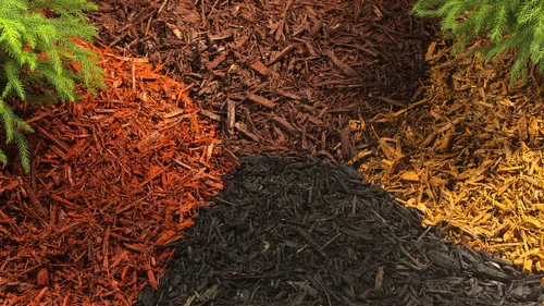 mulch colors.jpg