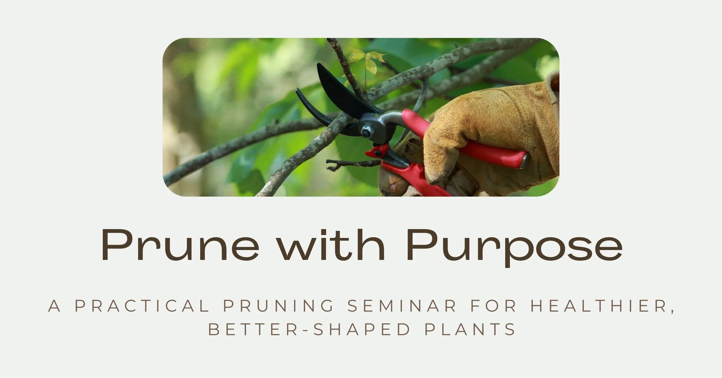 Prune with Purpose Seminar at Cold Creek Nurseries for healthier better shaped plants