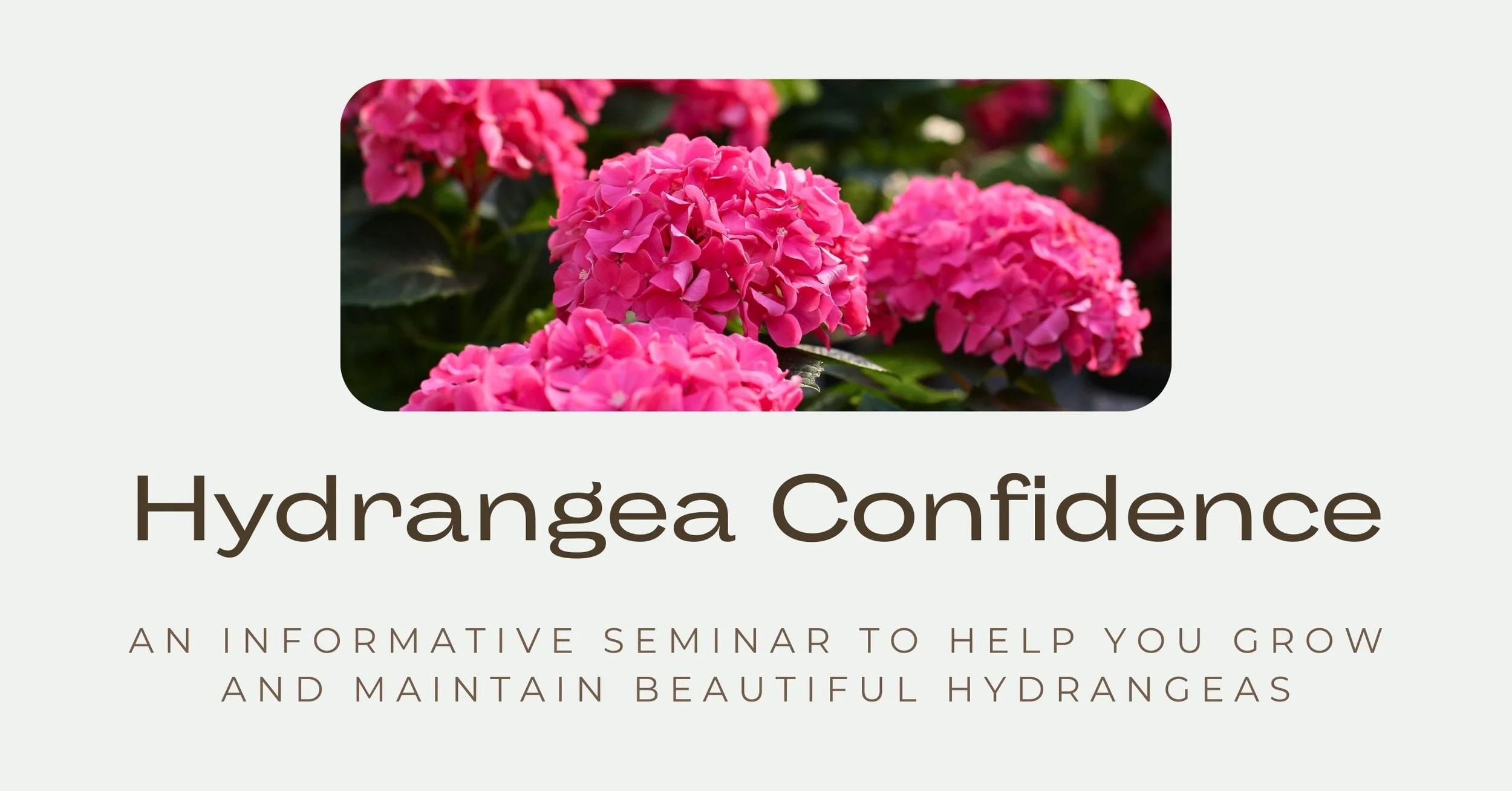 Hydrangea Confidence Seminar at Cold Creek Nurseries