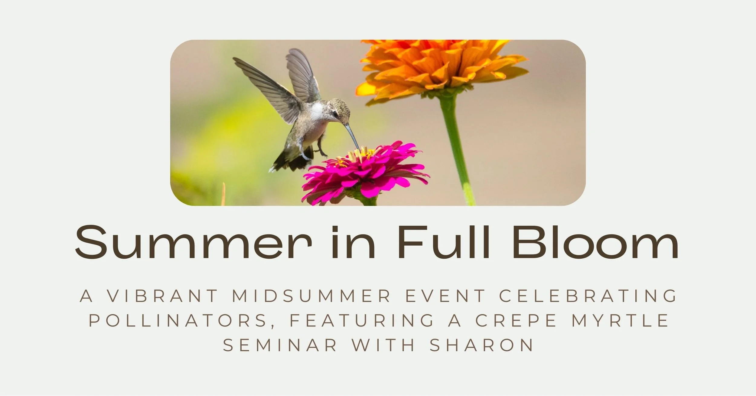 Summer in Full Bloom at Cold Creek Nurseries