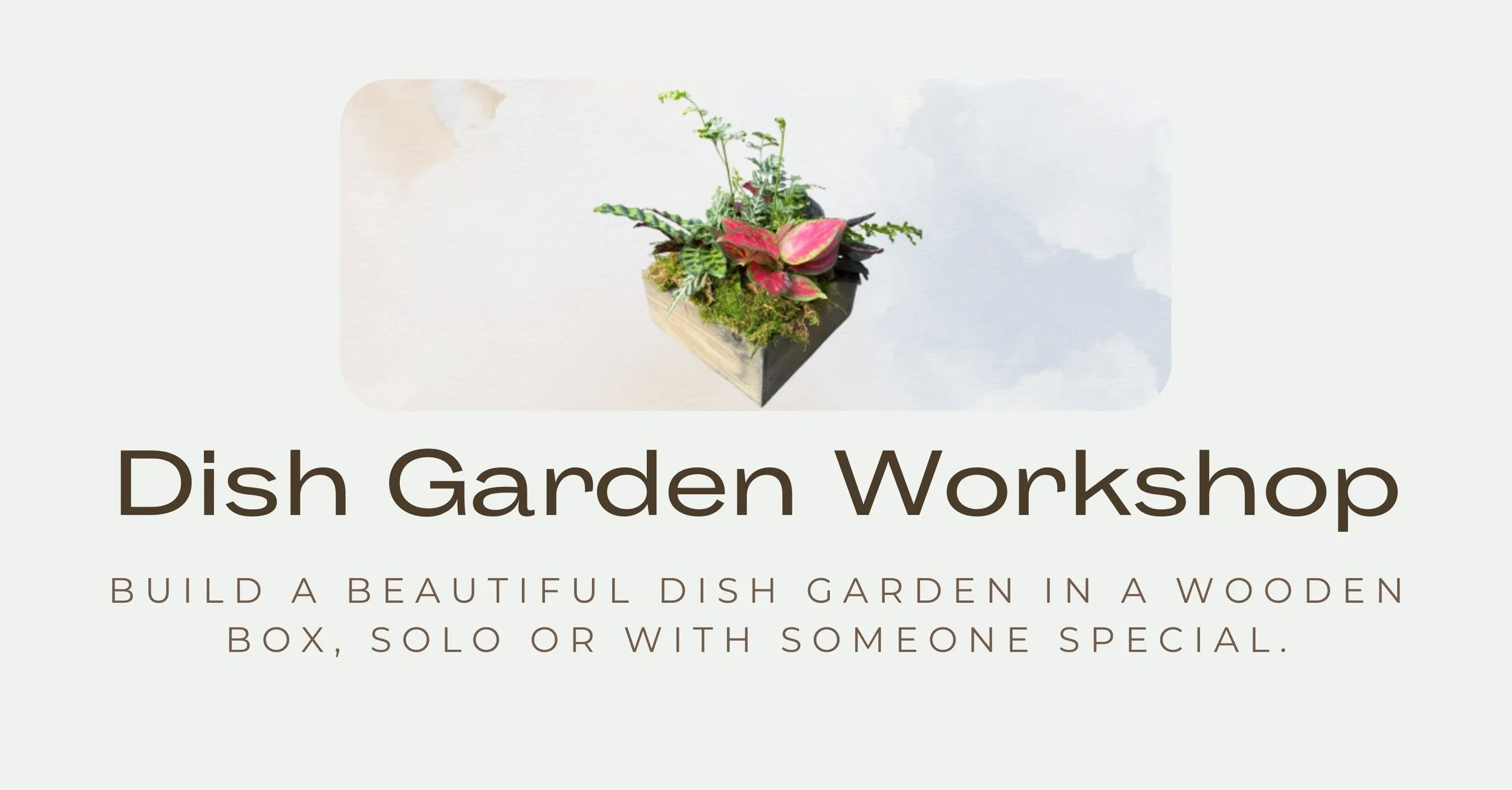 Dish Garden Workshop at Cold Creek Nurseries