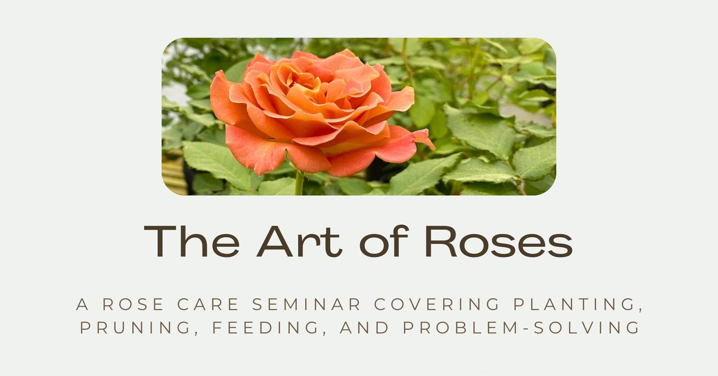 Art of Roses Seminar at Cold Creek Nurseries