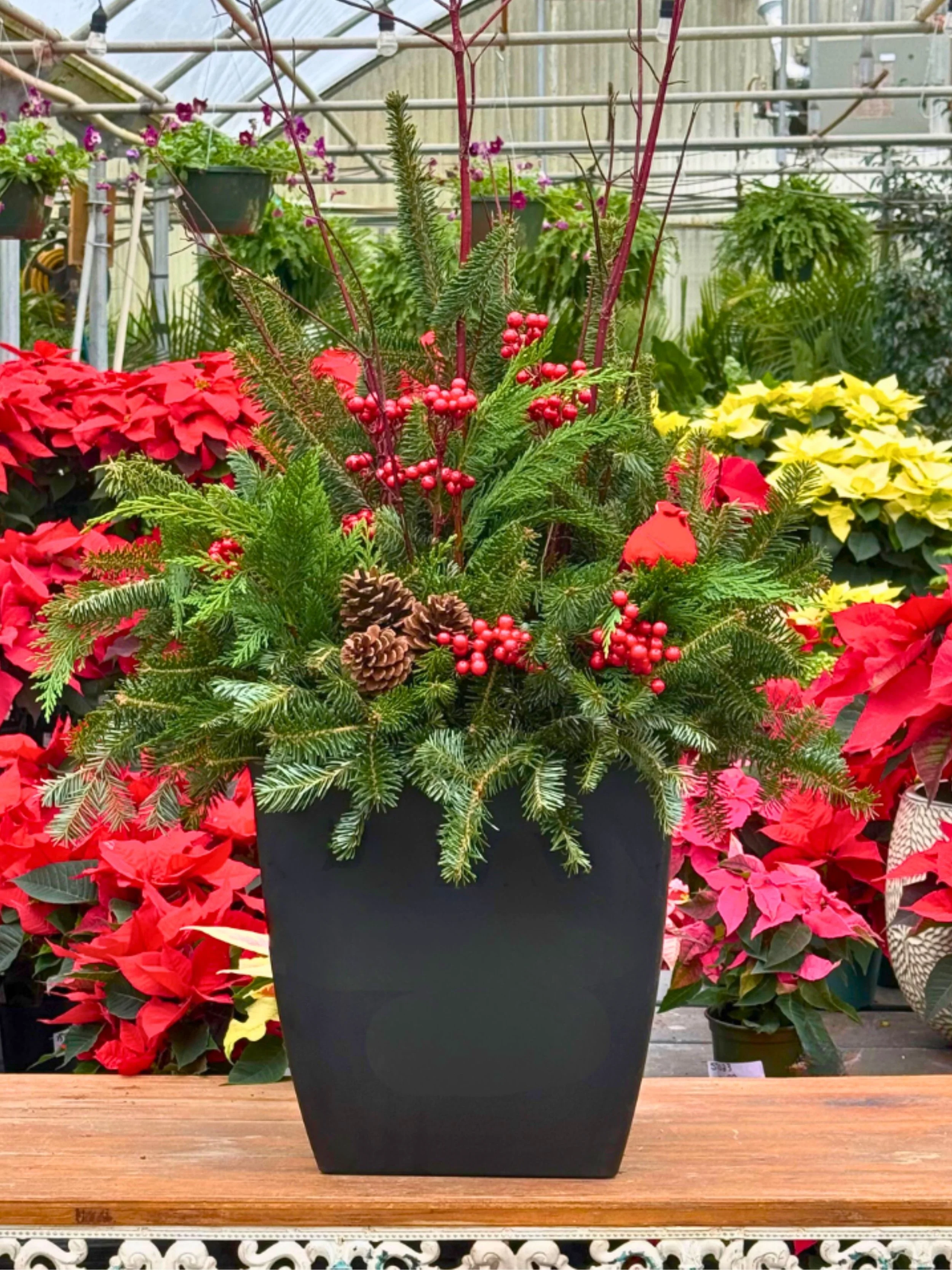 Festive Christmas porch pot with fresh evergreen greenery, pine cones, winter berries, and holiday accents, perfect for front porch seasonal décor.