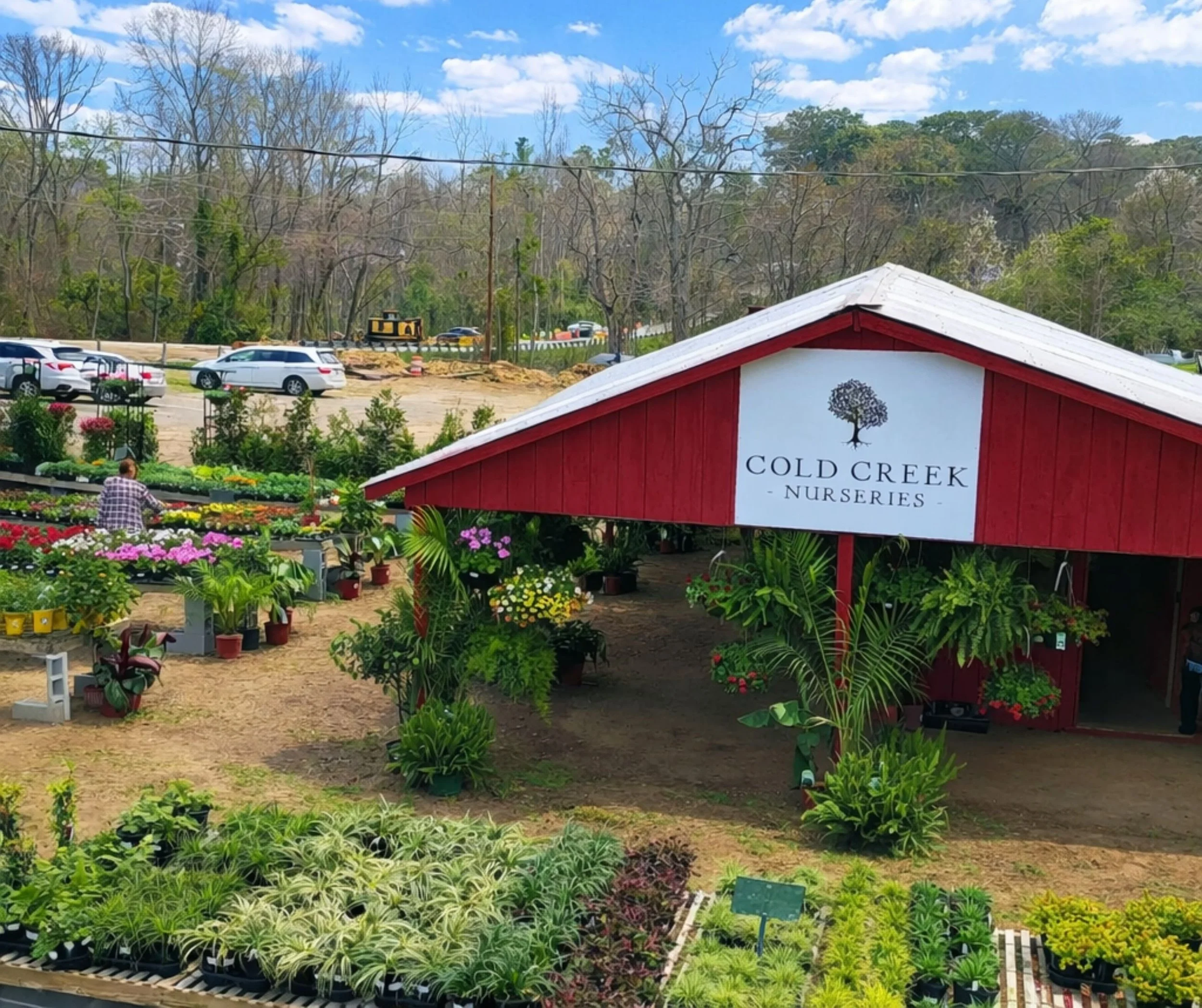 Shop Cold Creek North Augusta Spring Pop Up