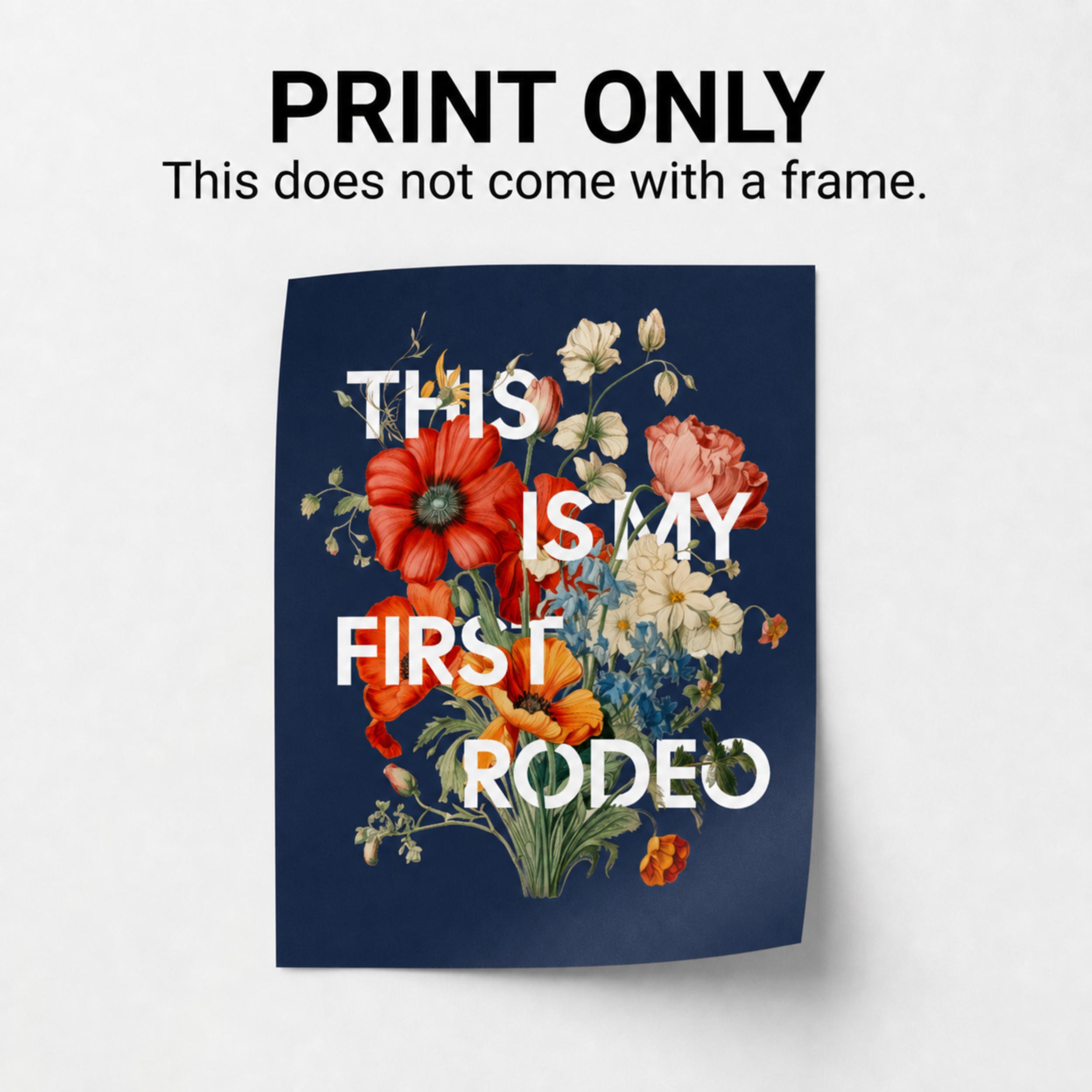 Poster Listing Photos - illustrationImage.png