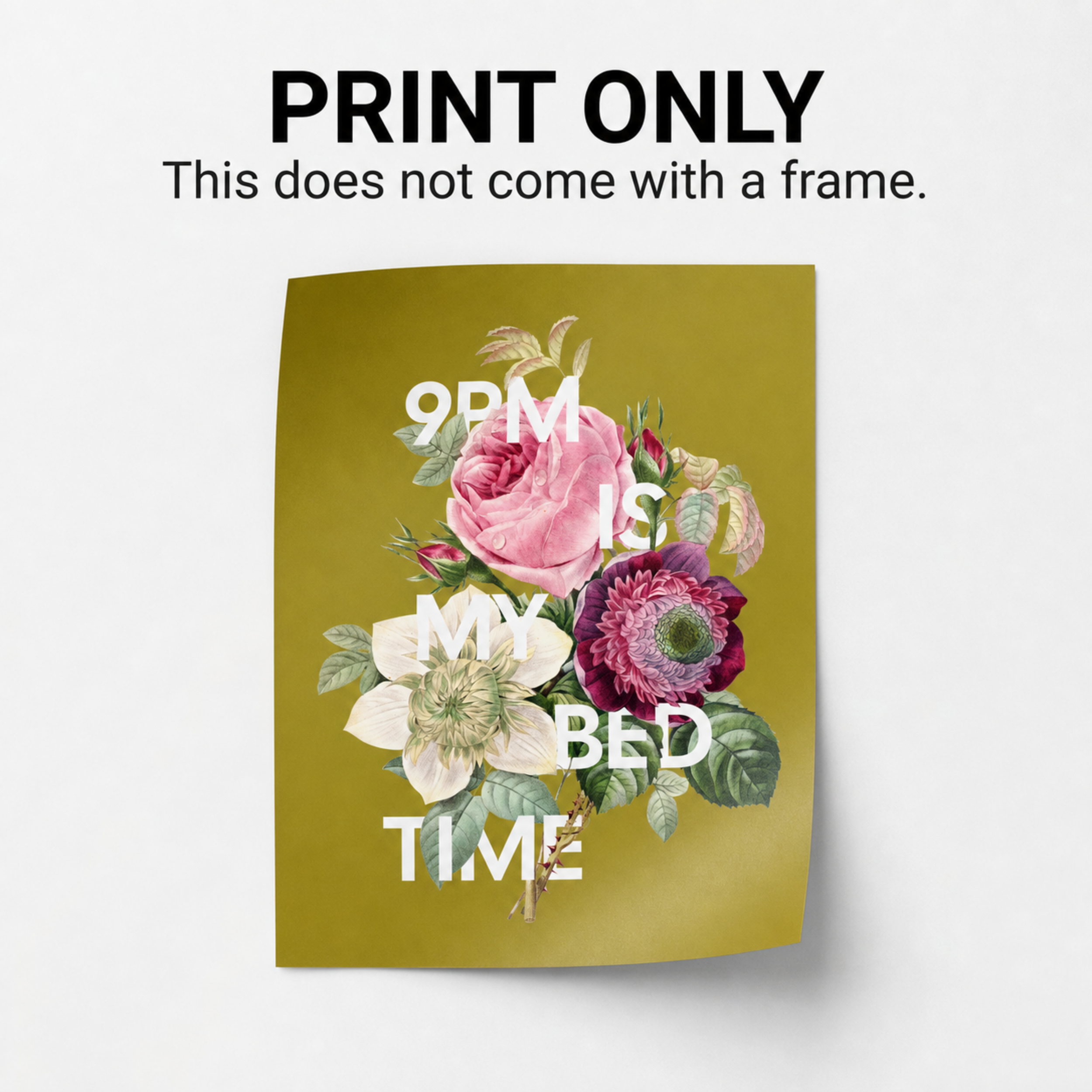 Untitled Project - illustrationImage (2).png