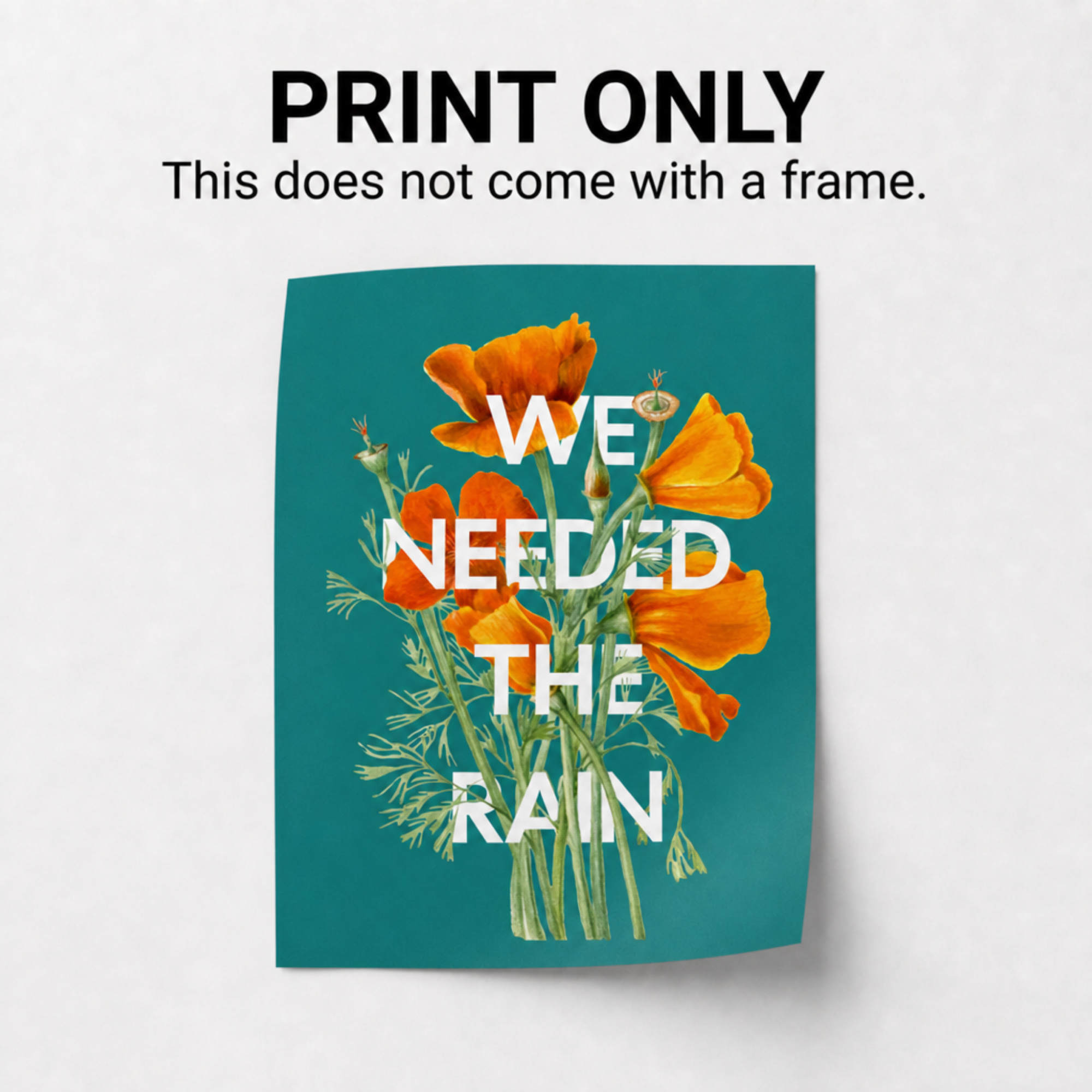 Poster Listing Photos - illustrationimage (3).png