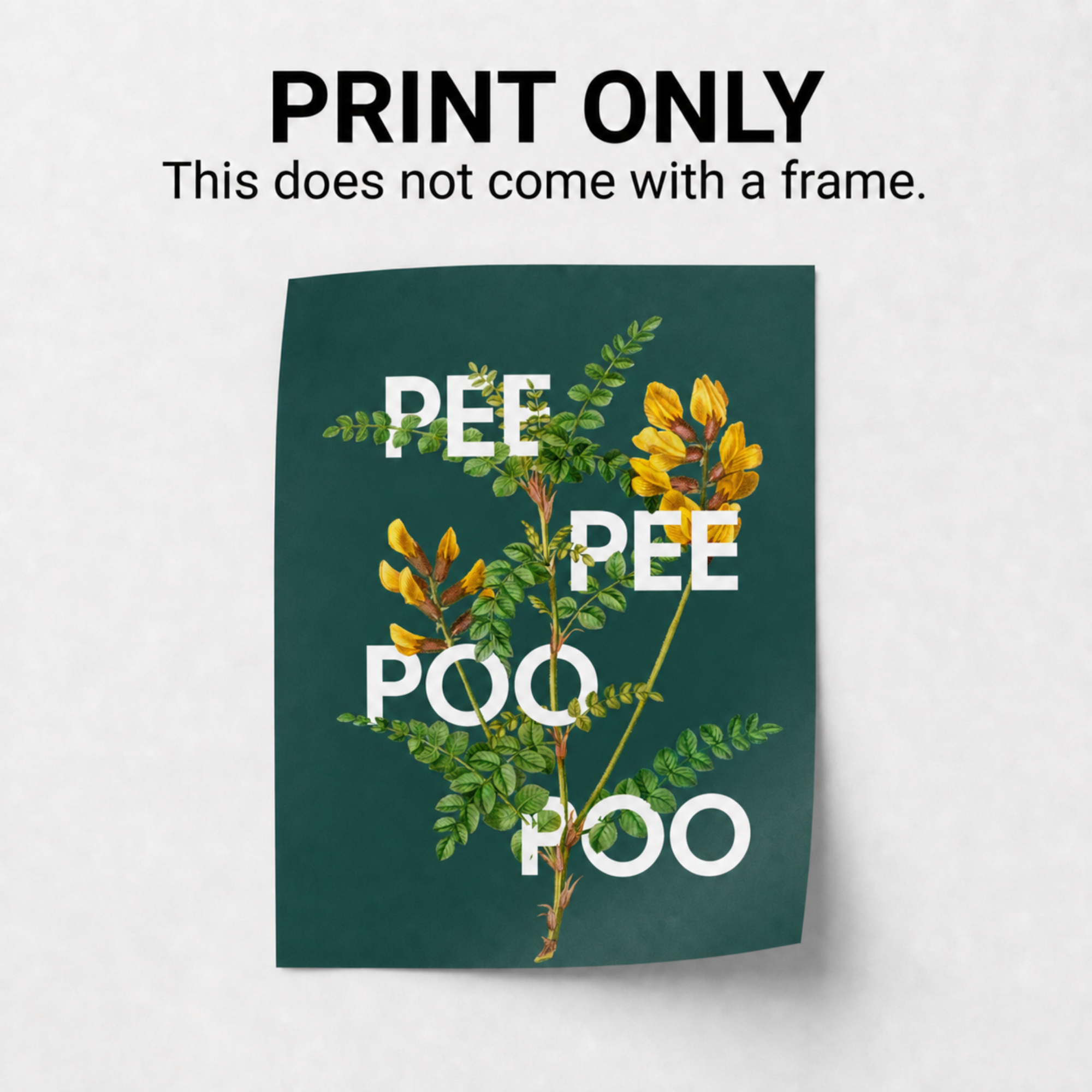 Poster Listing Photos - illustrationImage (1).png