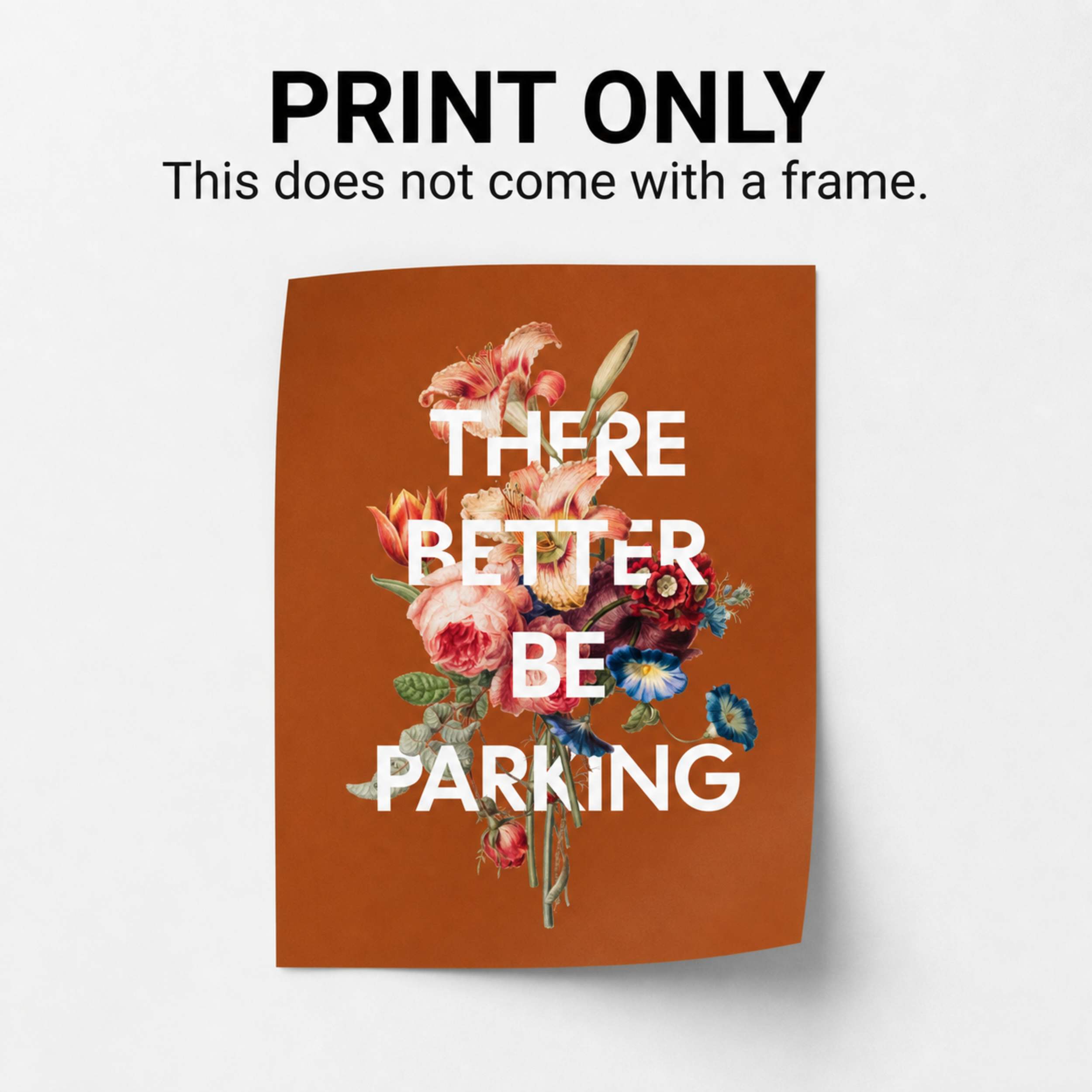 Untitled Project - illustrationImage.png
