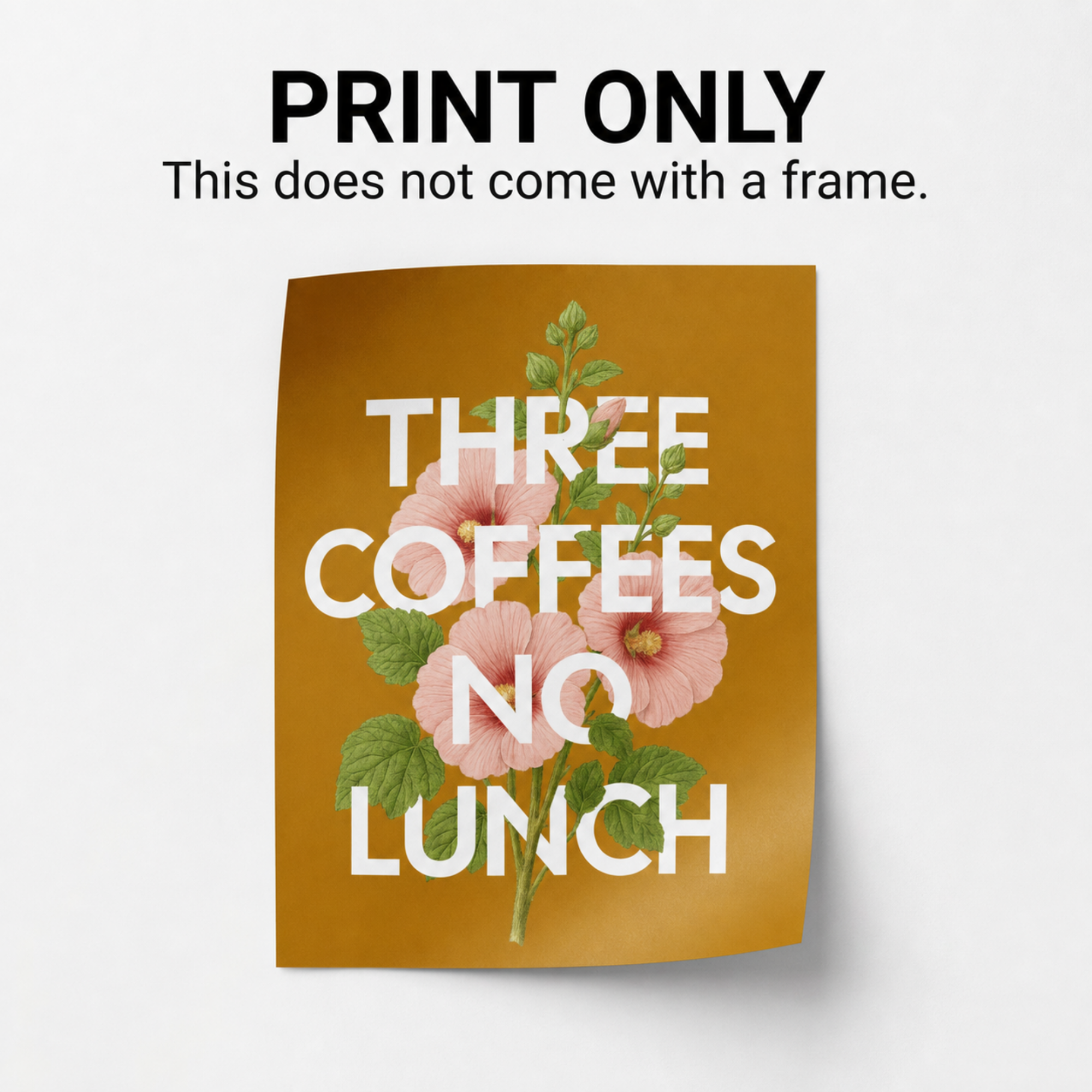 Untitled Project - illustrationImage (5).png