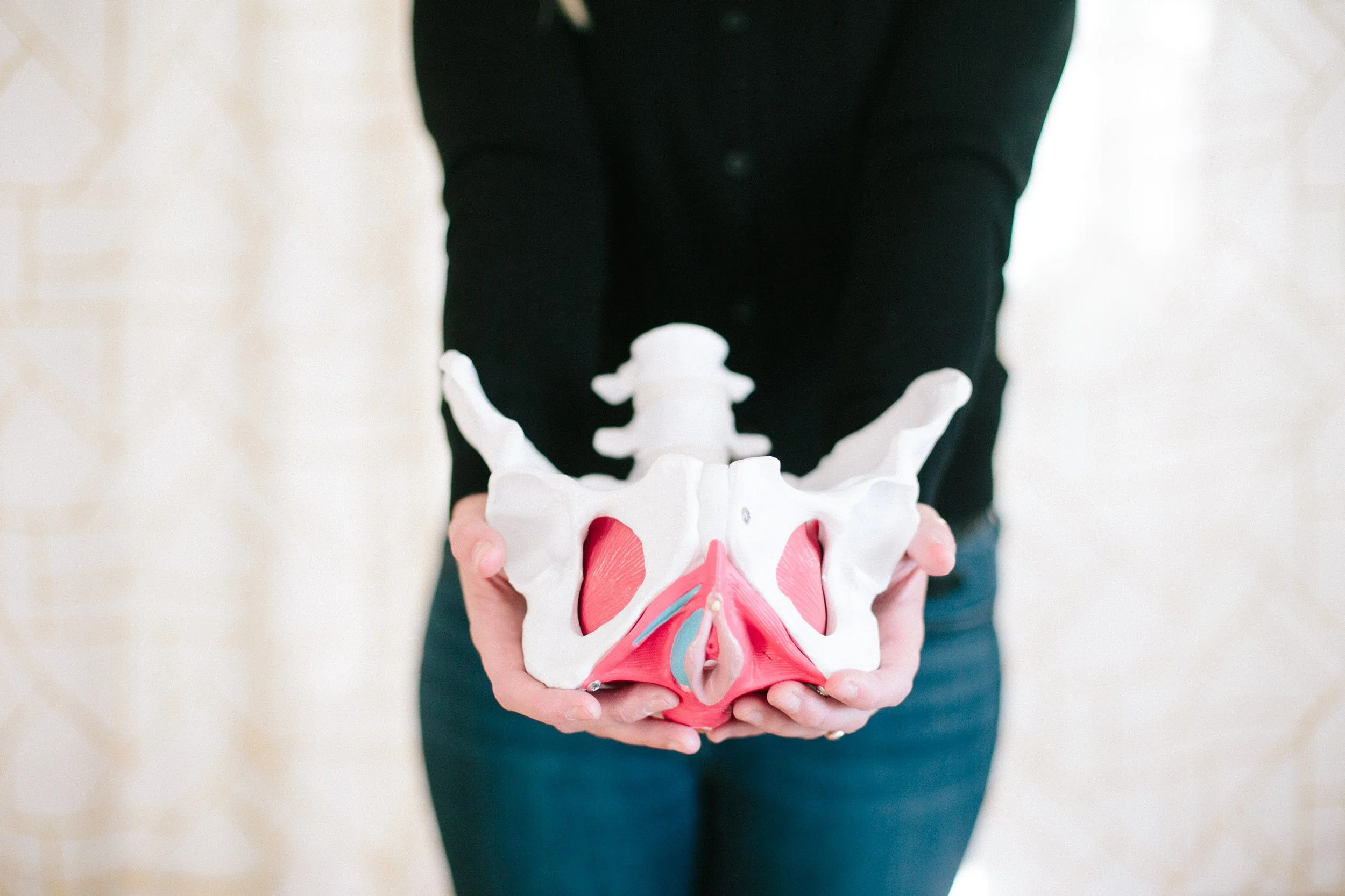 Curious About Pelvic Floor Therapy? You’re In the Right Place!
