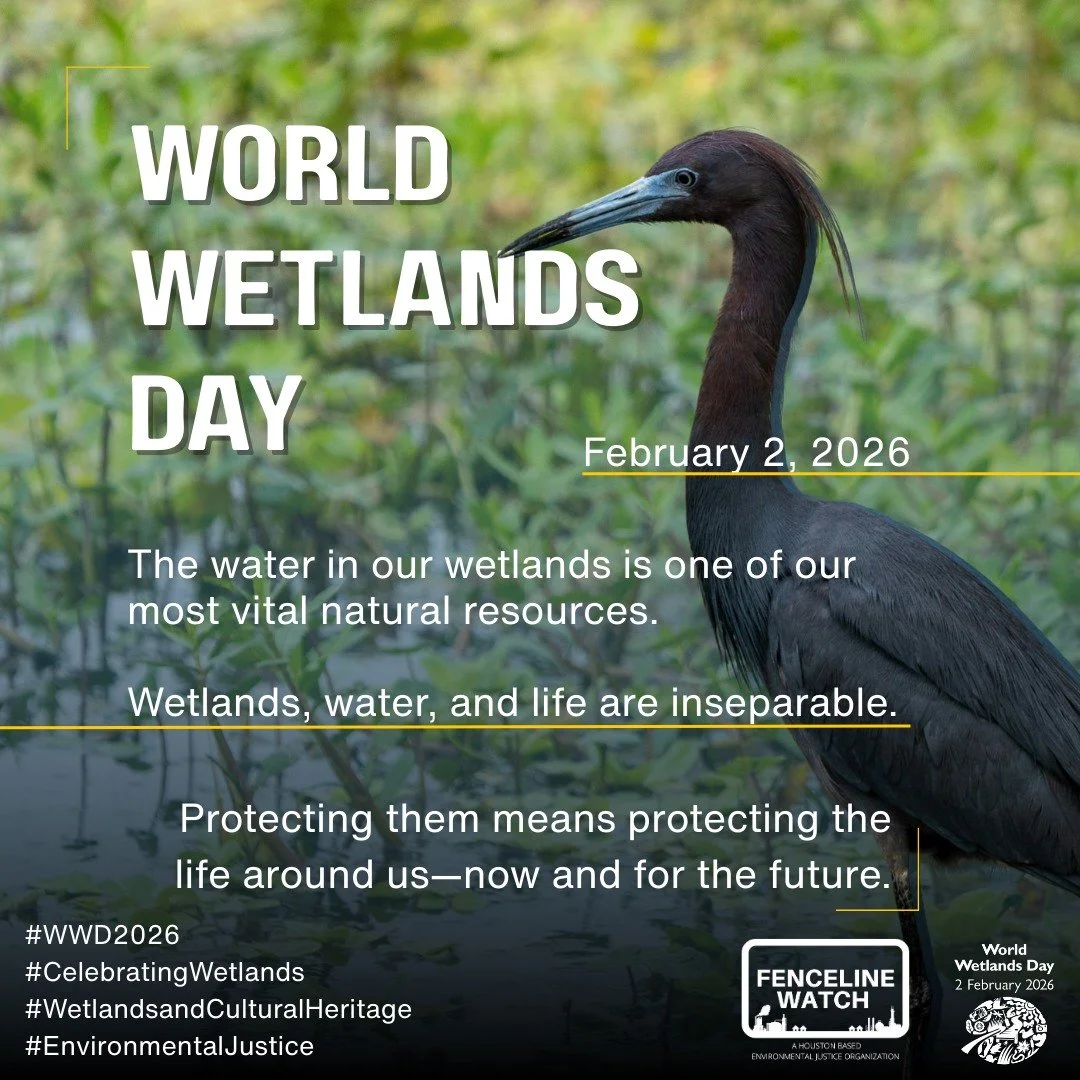 By 2050, the urban population is projected to reach 68%. When unchecked, urbanization threatens urban wetlands, often draining, polluting, and degrading them in the pursuit of land for industry, housing, and agriculture.

www.worldwetlandsday.org
#En