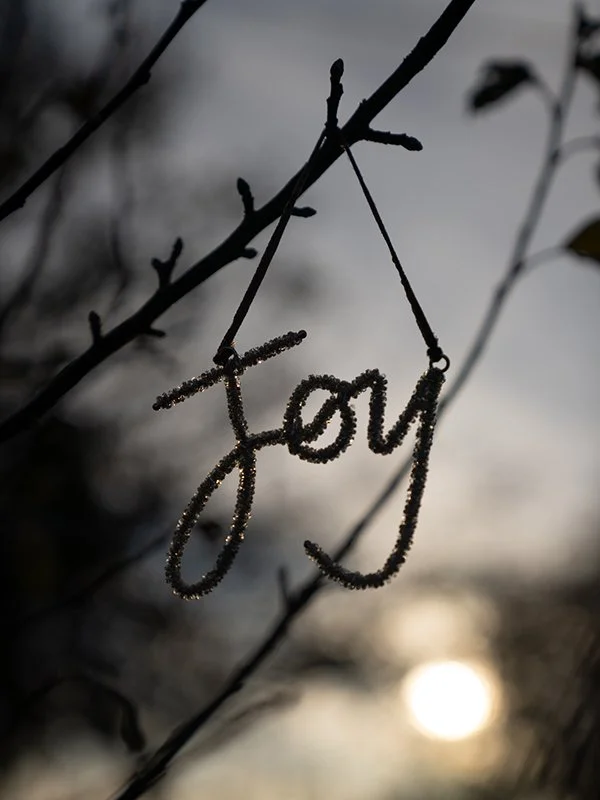 JOY_hmpg-4.jpg