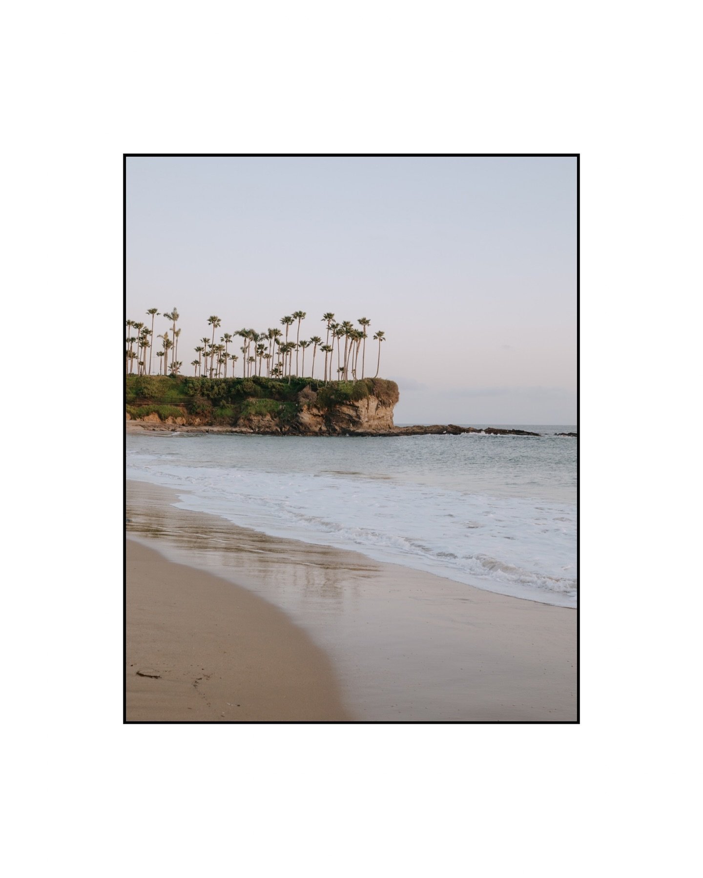 Counting down to the dog days of summer, one glowy warm evening at a time. 🌴