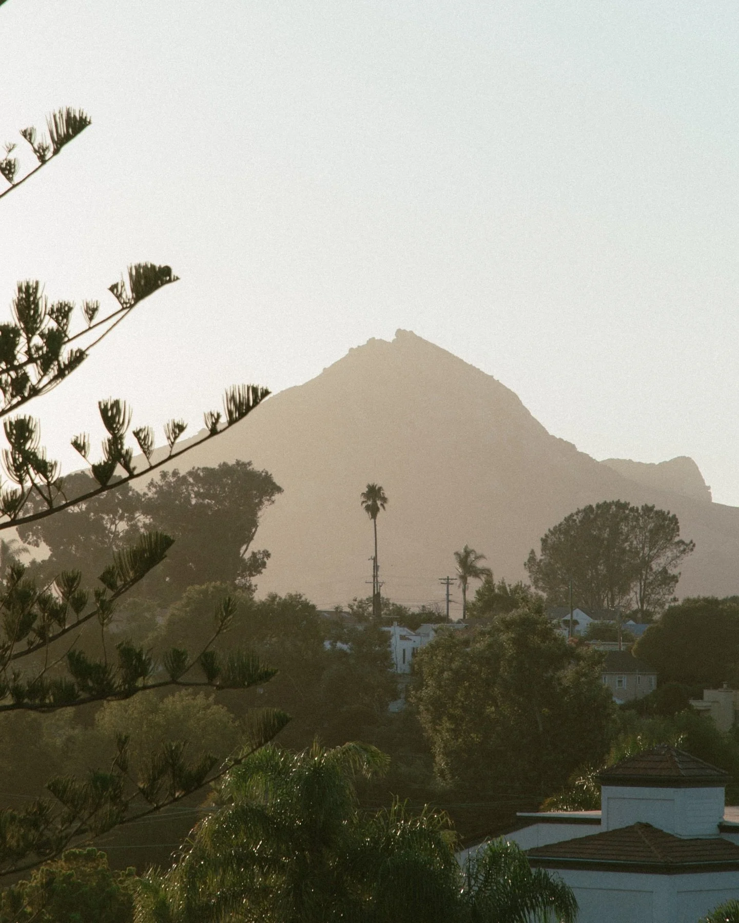 🌝 A steadfast companion