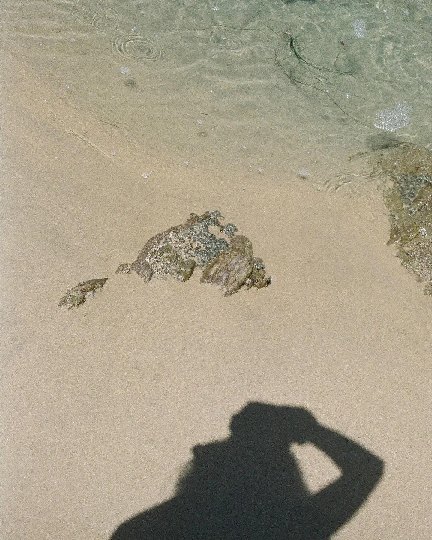 🏝️📸 it had been a while since I got those getting-the-scans-back butterflies