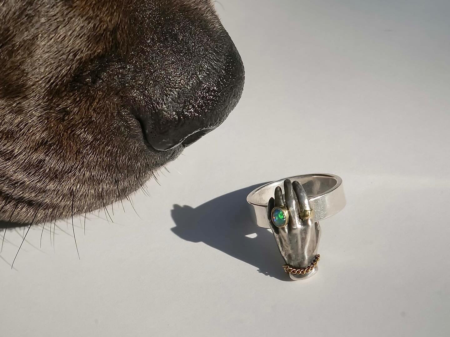 This pup nose best 🙃 Boogie sniffing the ring version of the Opal hand✋🏽 💍 if you like the ring design I&rsquo;d love to do a strong stone so a custom sapphire or something in color or a diamond would be nice! DM me to talk custom or you can email