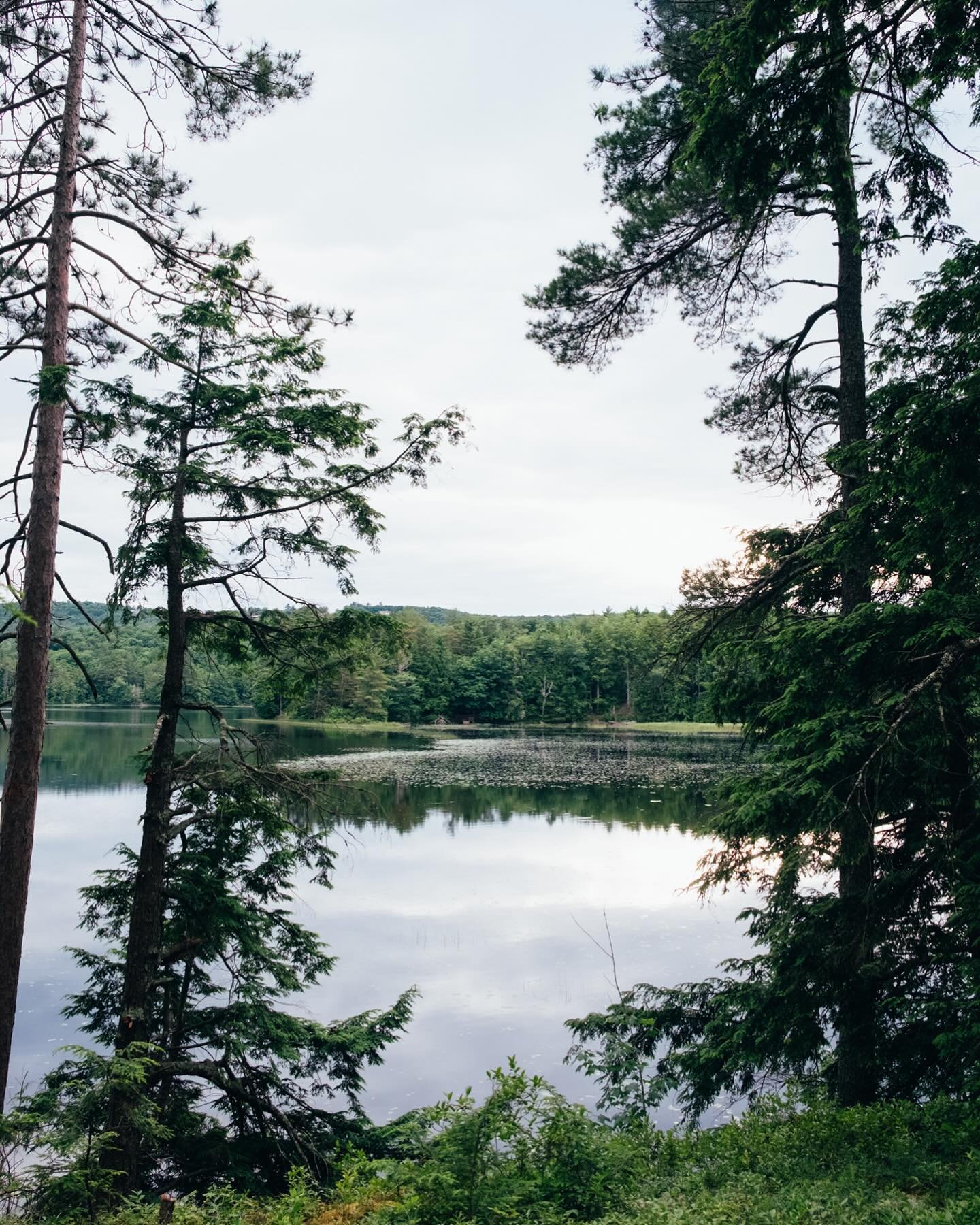 Even on grey days the island gives you the best views. #maine #visitmaine #libertymaine #cedarislandmaine #mainething 📸: @npierce88