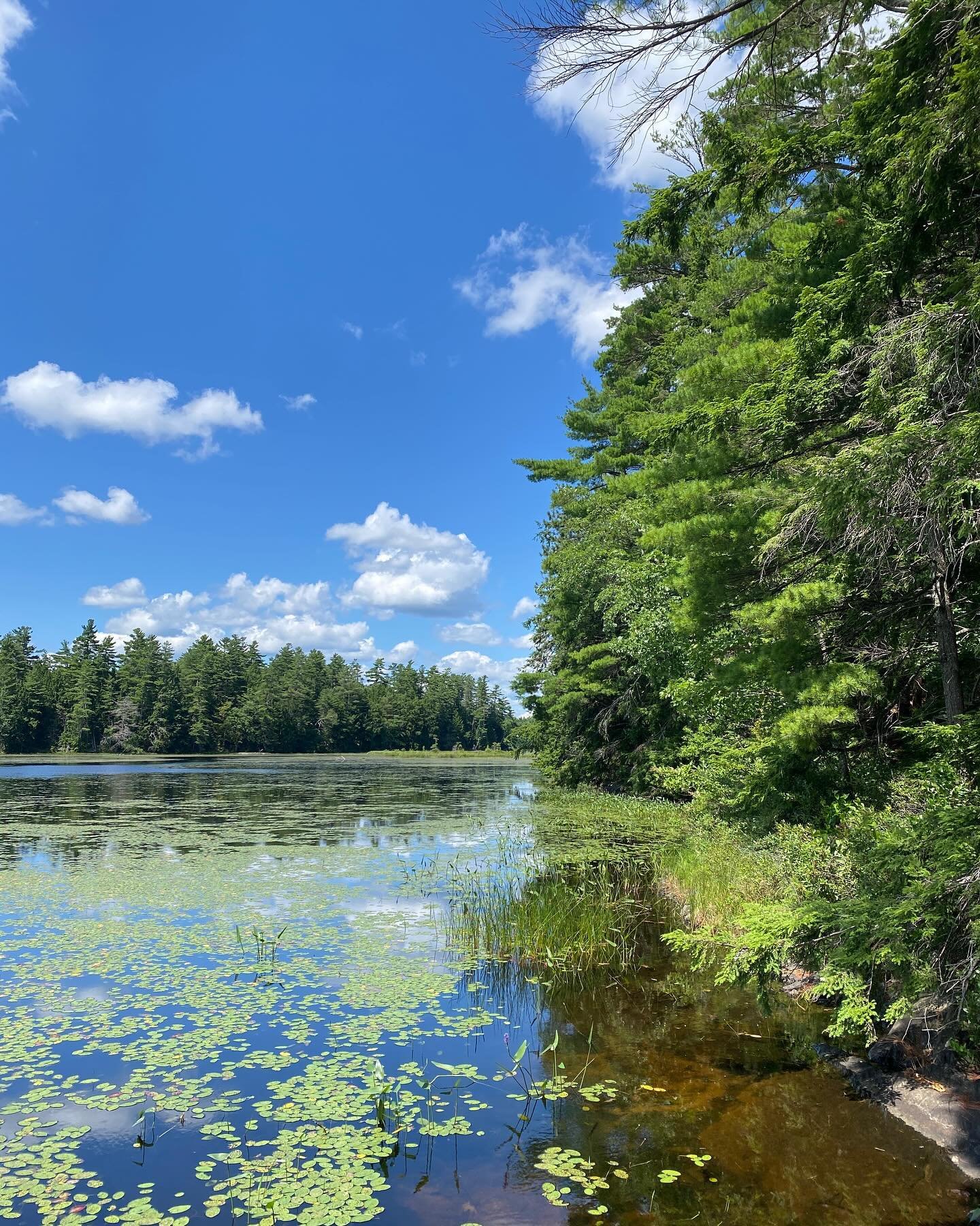 Our guests today picked the perfect weekend! The weather could not be better. #cedarislandmaine #libertymaine #cedarisland #mainestuff #mainething #visitmaine