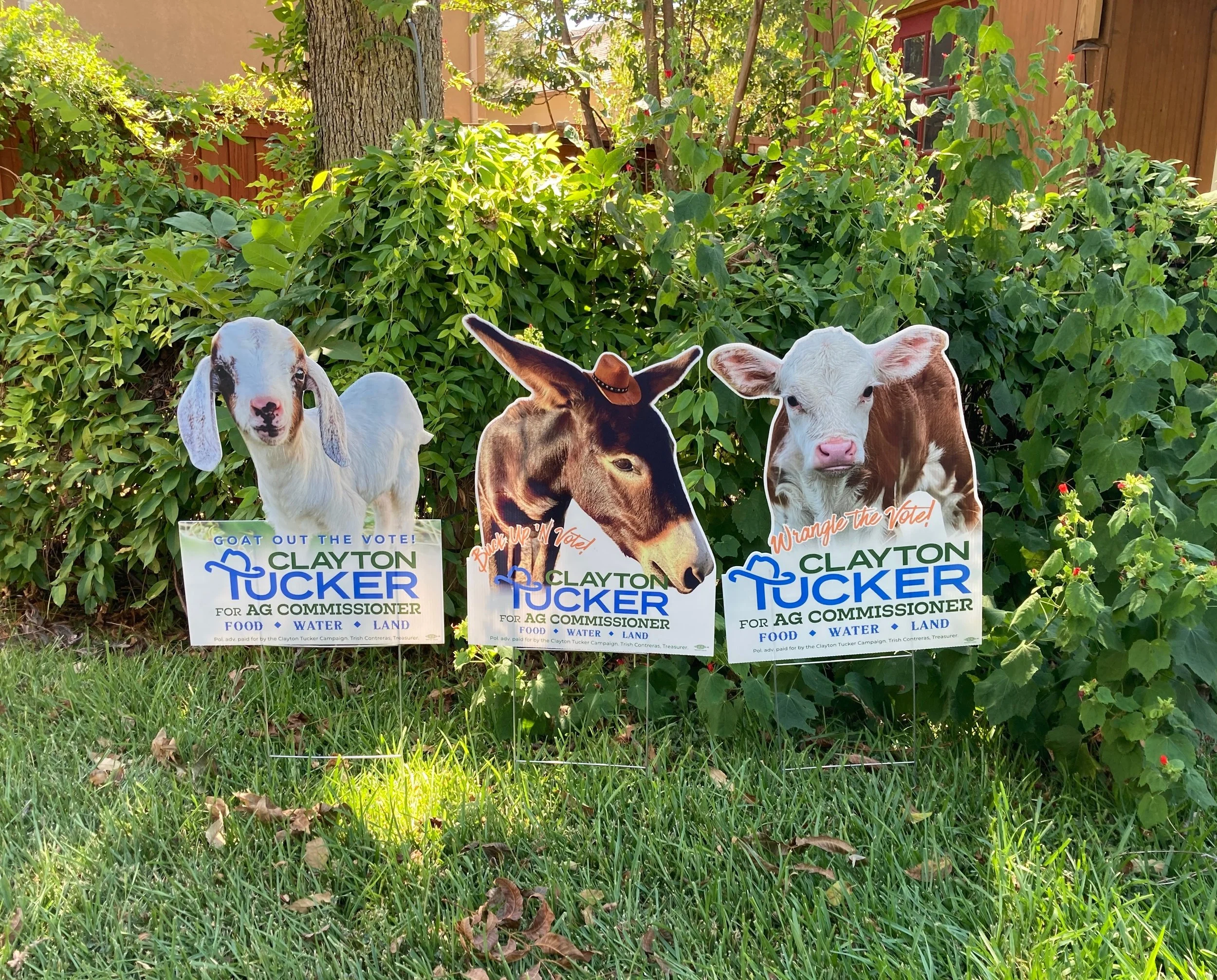 Clayton Tucker Yard Sign with Calf (Porch Pick Up in Dallas Only)