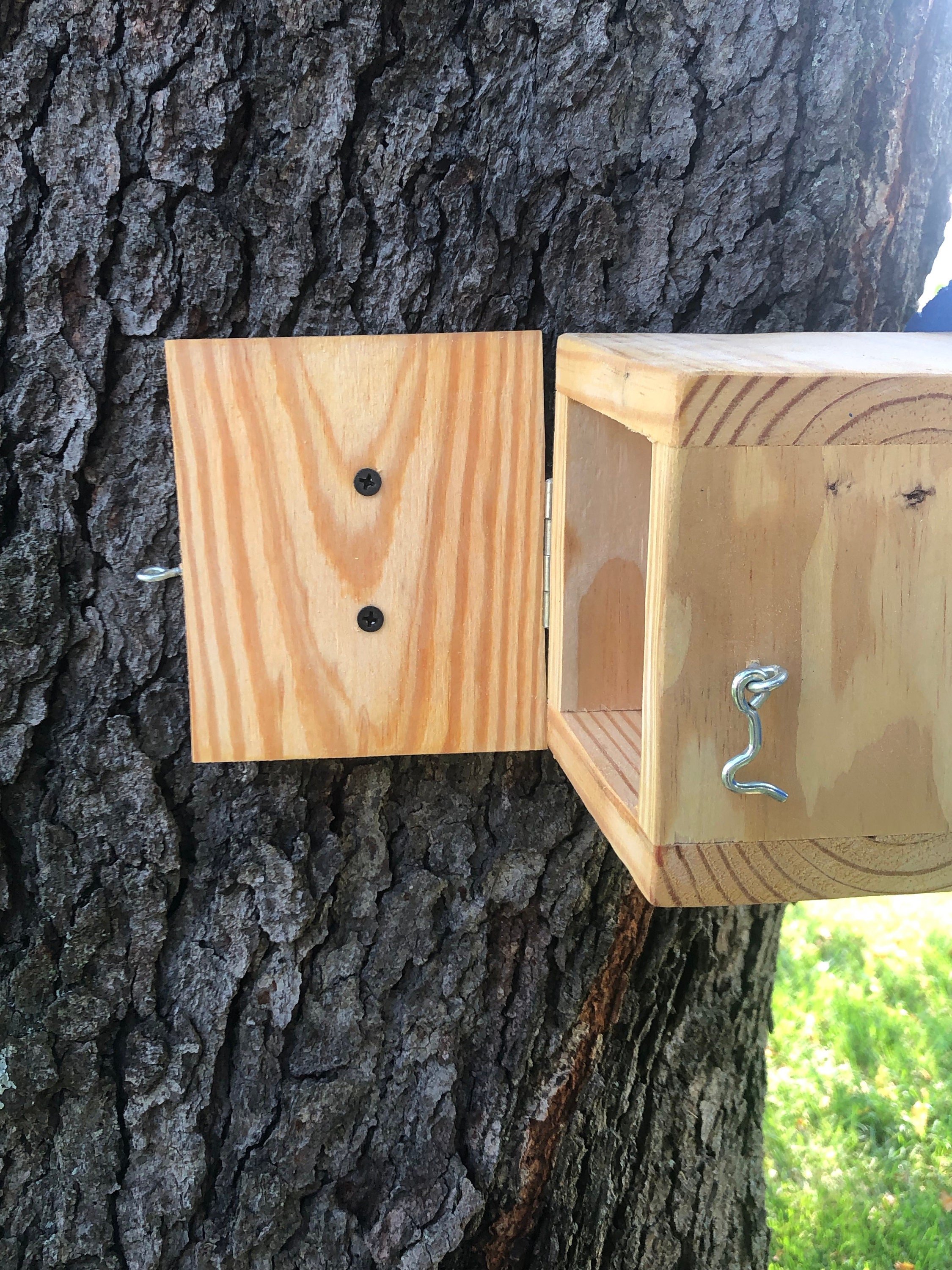 https://i.etsystatic.com/22315939/r/il/f647a6/3235581266/il_fullxfull.3235581266_2l4i.jpg