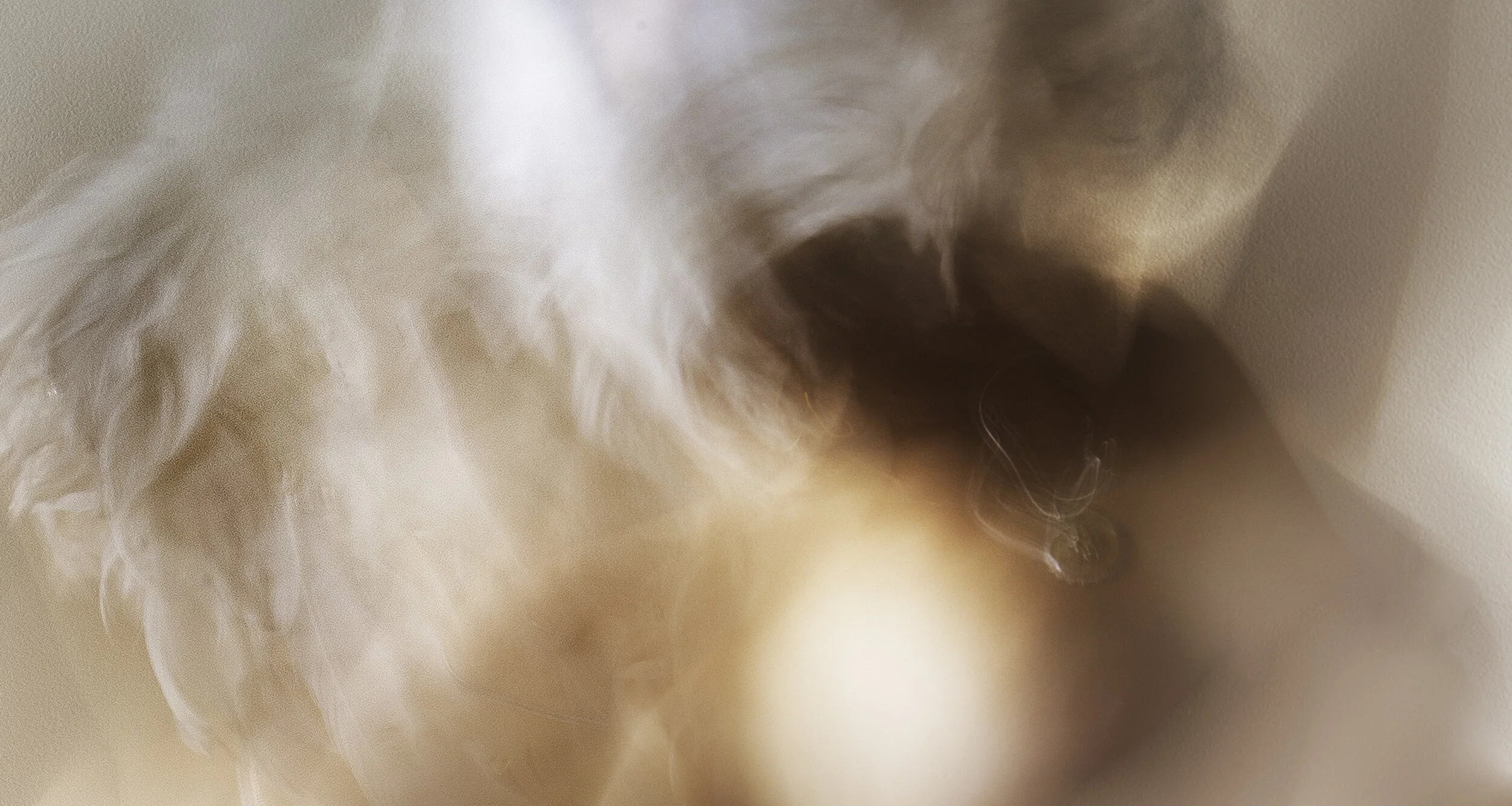 La visite (2021), 32 x 22  in., metallic print