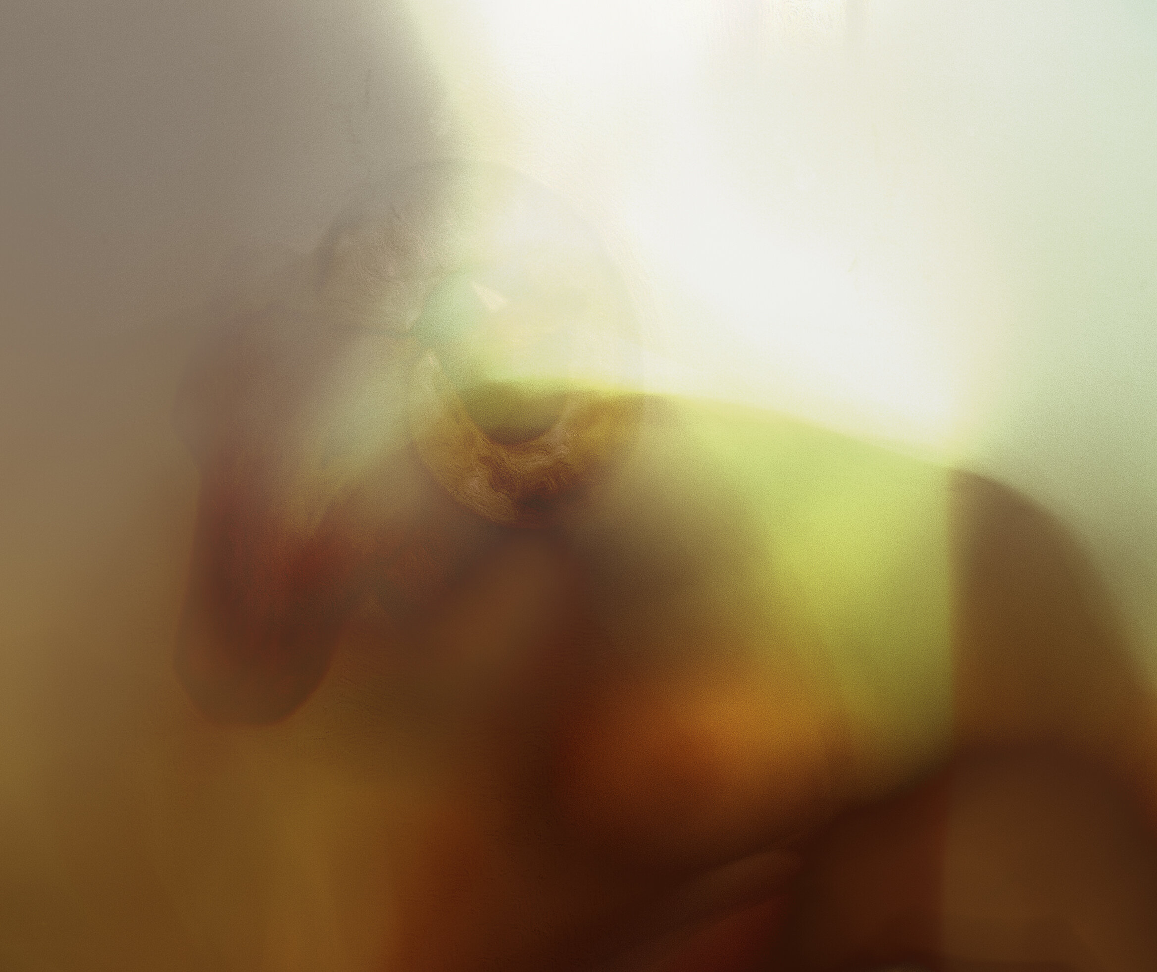 Béliée, Digital Photography, 2021