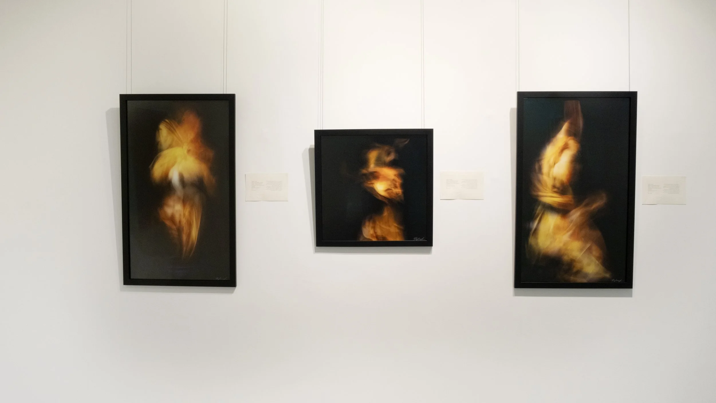 RIZLANE-Installation Magma series .jpg