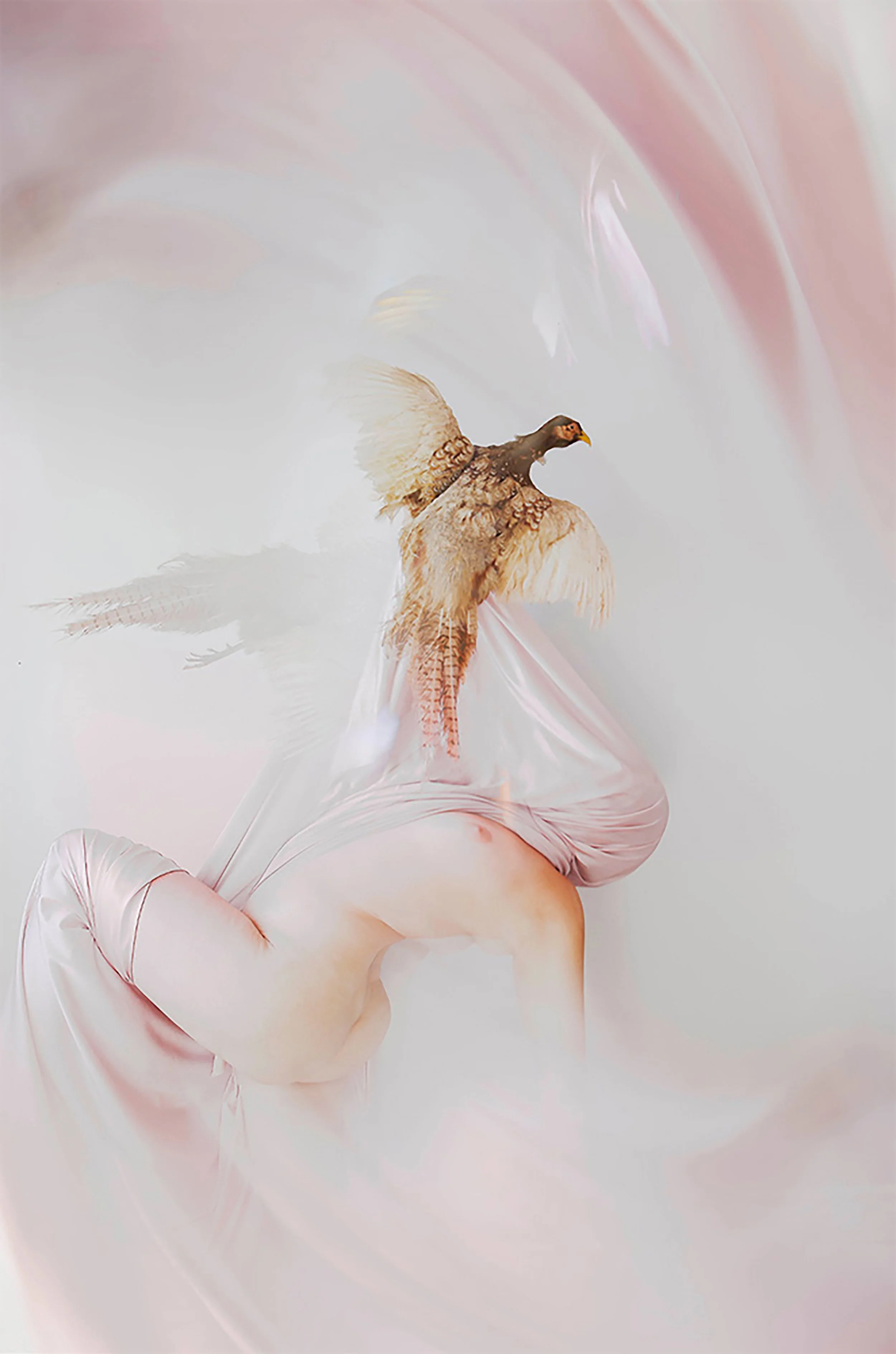 MOONLIGHT SONATA (2022)