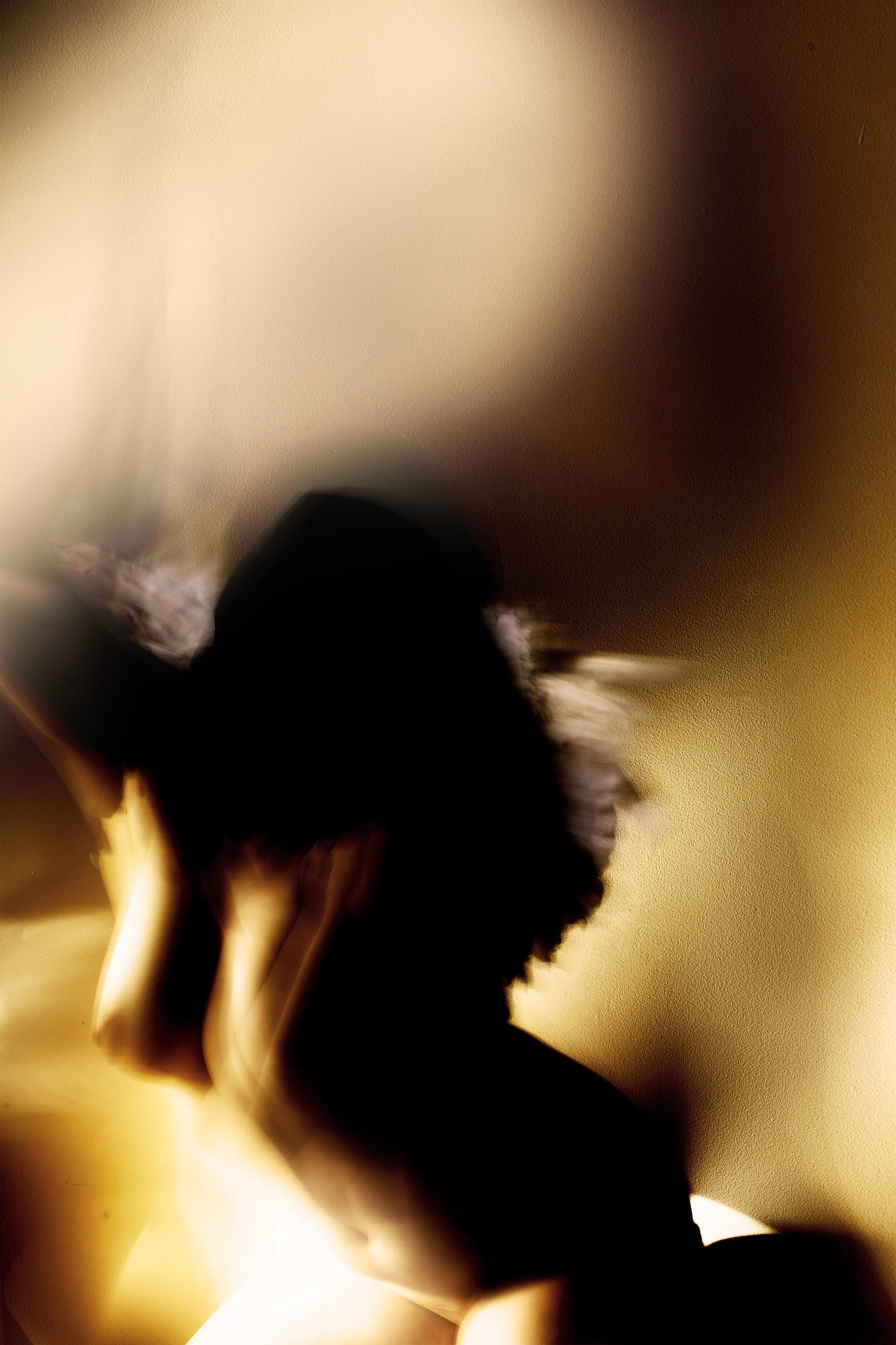 Corbeau (2022) – 20 × 30 in., metallic print