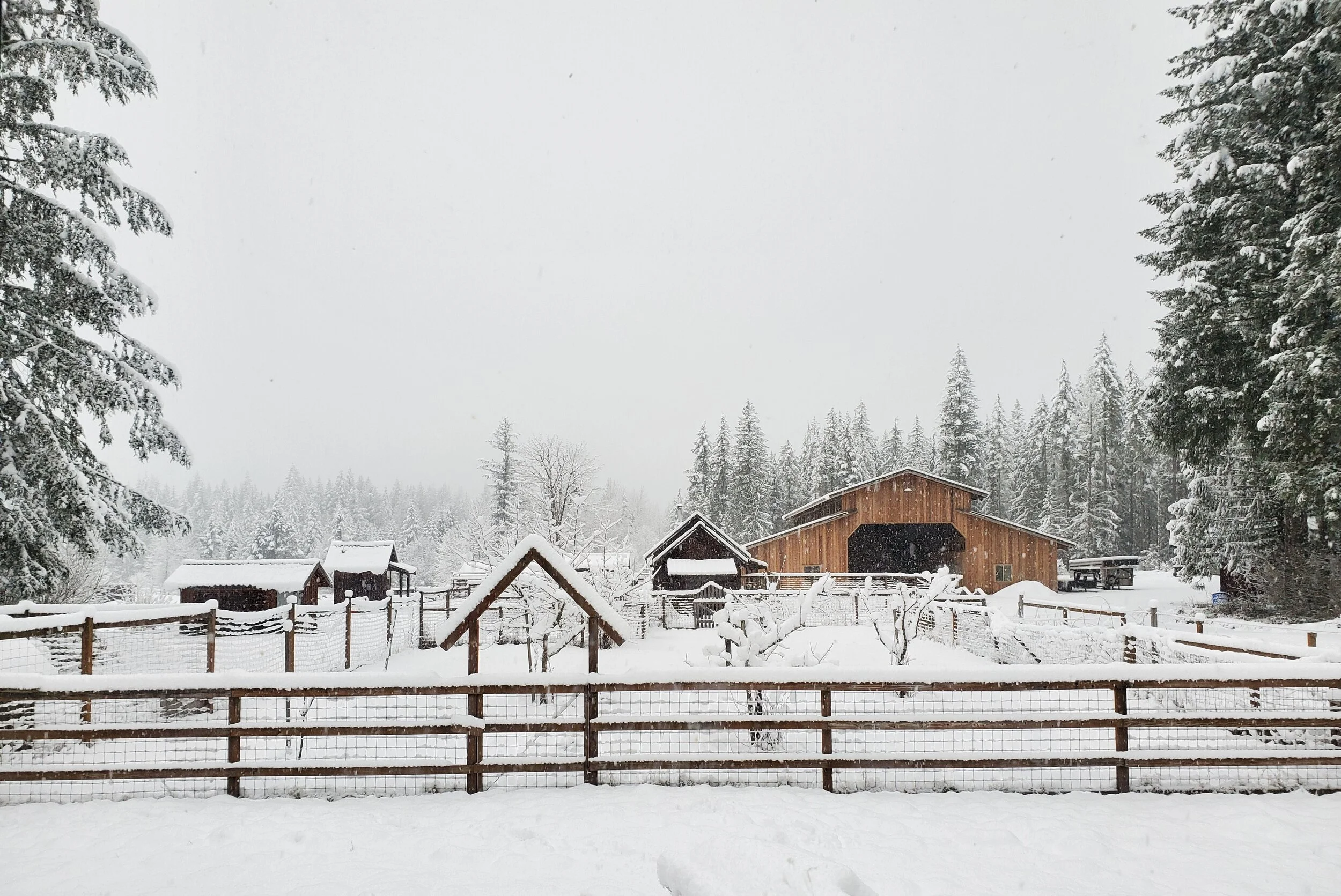 About — American Alps Ranch