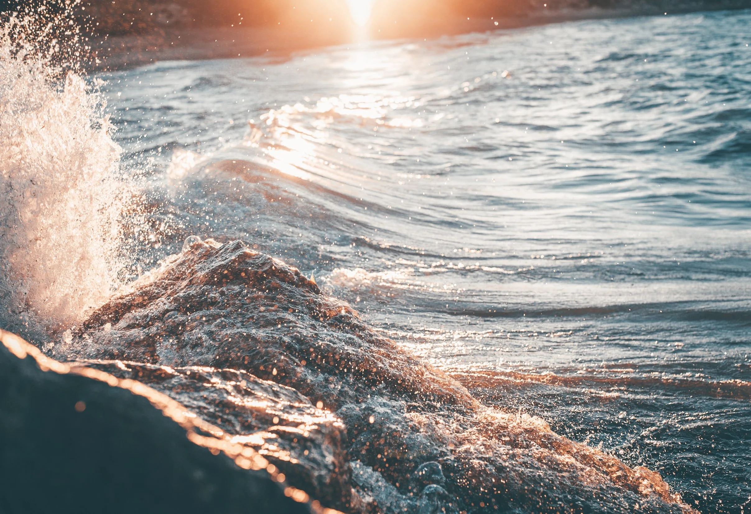 Intention moves as vibration >>