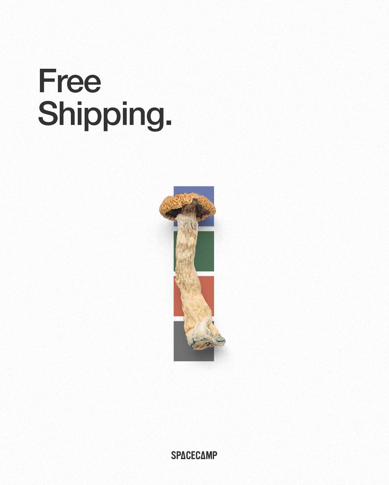 It&rsquo;s 2023 and we believe shipping should always be free. No minimum spend, no promo code, all the time&mdash;it&rsquo;s our commitment. 📦🍄